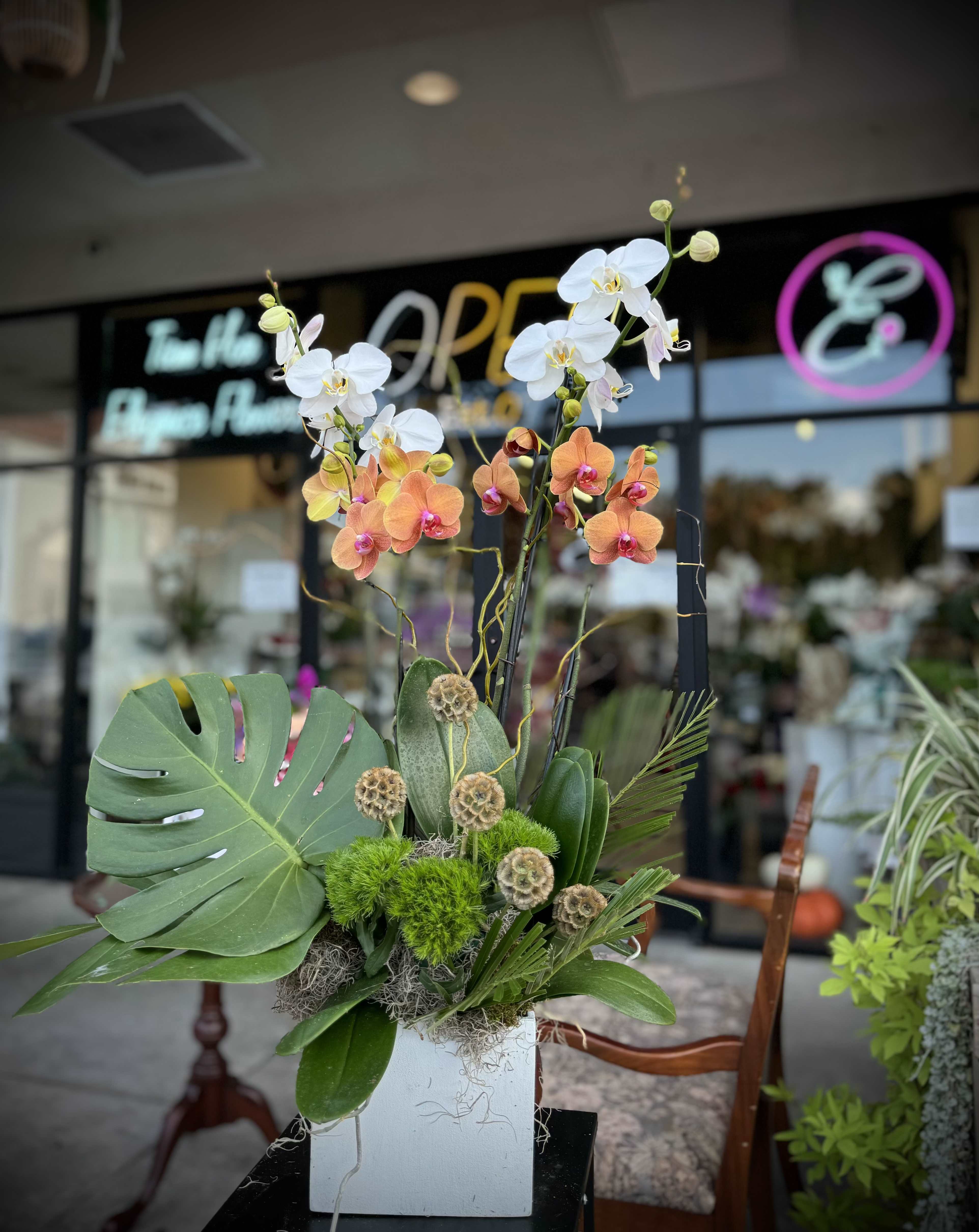 Orchid Arrangement #4 Orchid Arrangement #4 - Custom orchid arrangements feature the exotic beauty and elegance of orchids, tailored to your unique preferences. These striking blooms, known for their sophisticated appearance and can be arranged in various styles to suit any occasion or space.