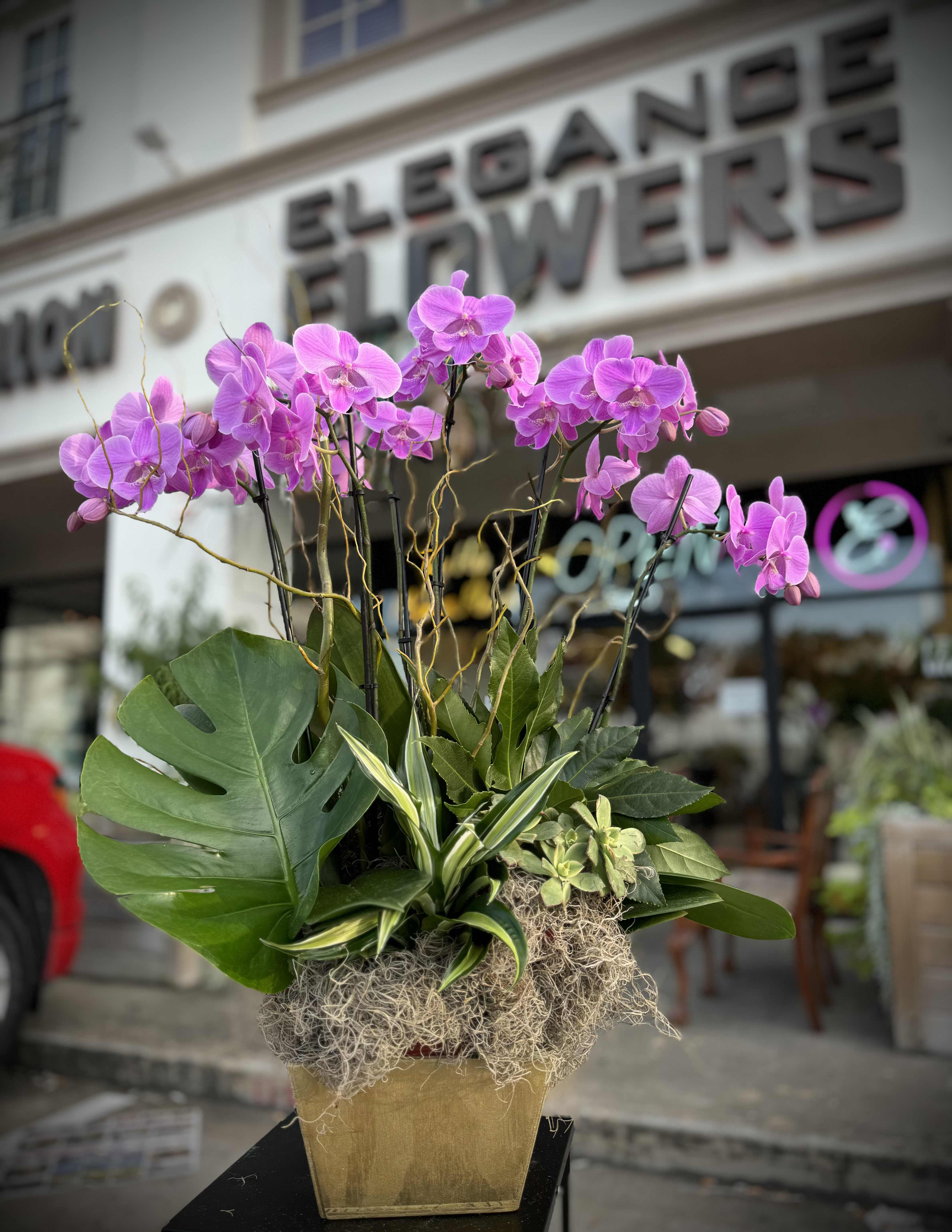 Orchid Arrangement #6 Orchid Arrangement #6 - Custom orchid arrangements feature the exotic beauty and elegance of orchids, tailored to your unique preferences. These striking blooms, known for their sophisticated appearance and can be arranged in various styles to suit any occasion or space.