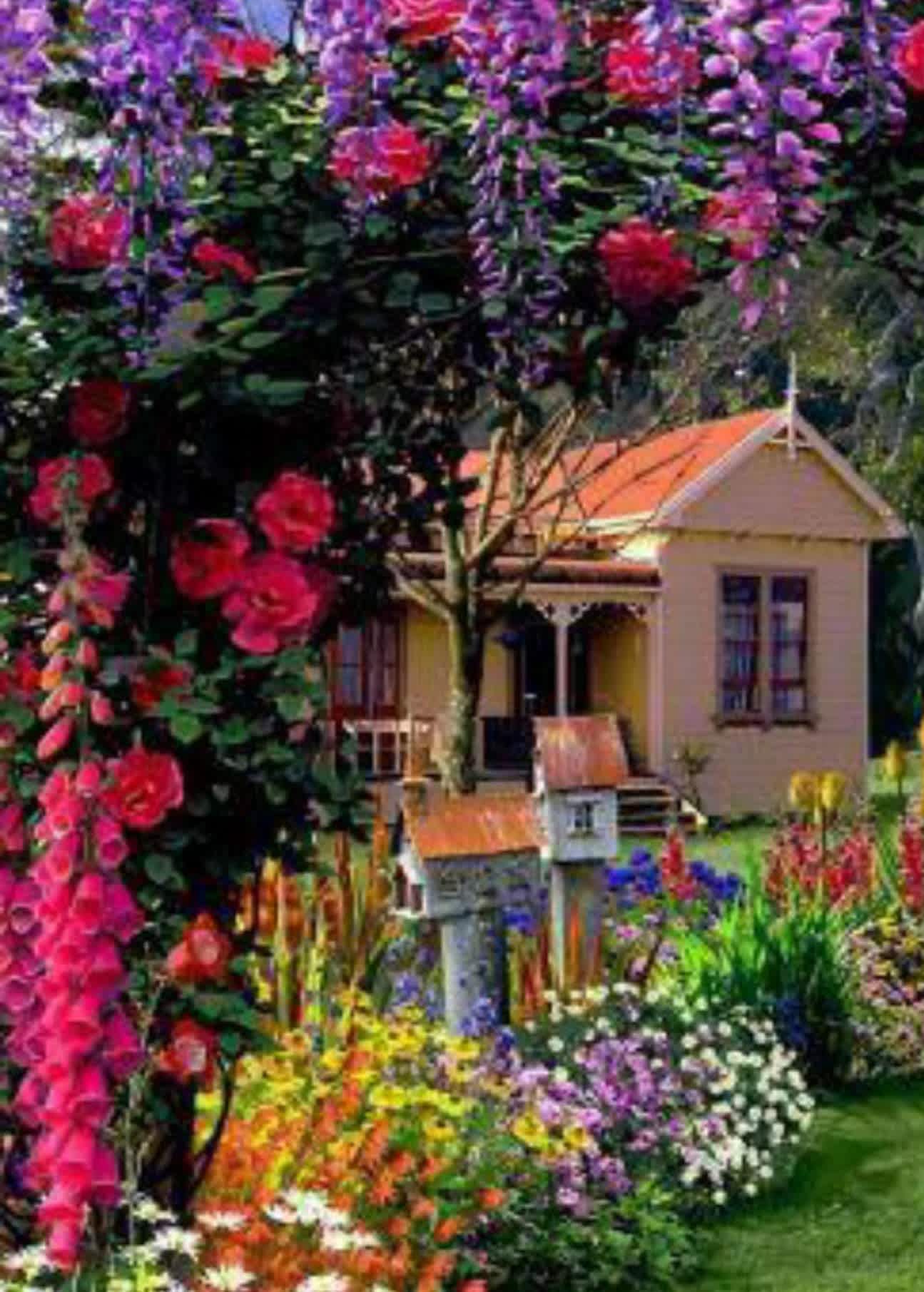 Flowers 4 Life  - We will custom Design an amazing  floral arrangement that fits your lifestyle and sends great vibes . This will be an automatic  delivery to you  12 x a year . Each  month will be different and seasonal / holiday . Let us help you make your home /business absolutely fulfilling and full of life 