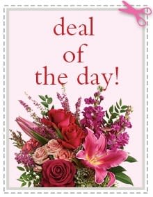 Deal Of The Day! - By choosing this option, you will receive our freshest, in-season offerings. It can be either a spring or tropical arrangement, or a beautiful orchid plant.