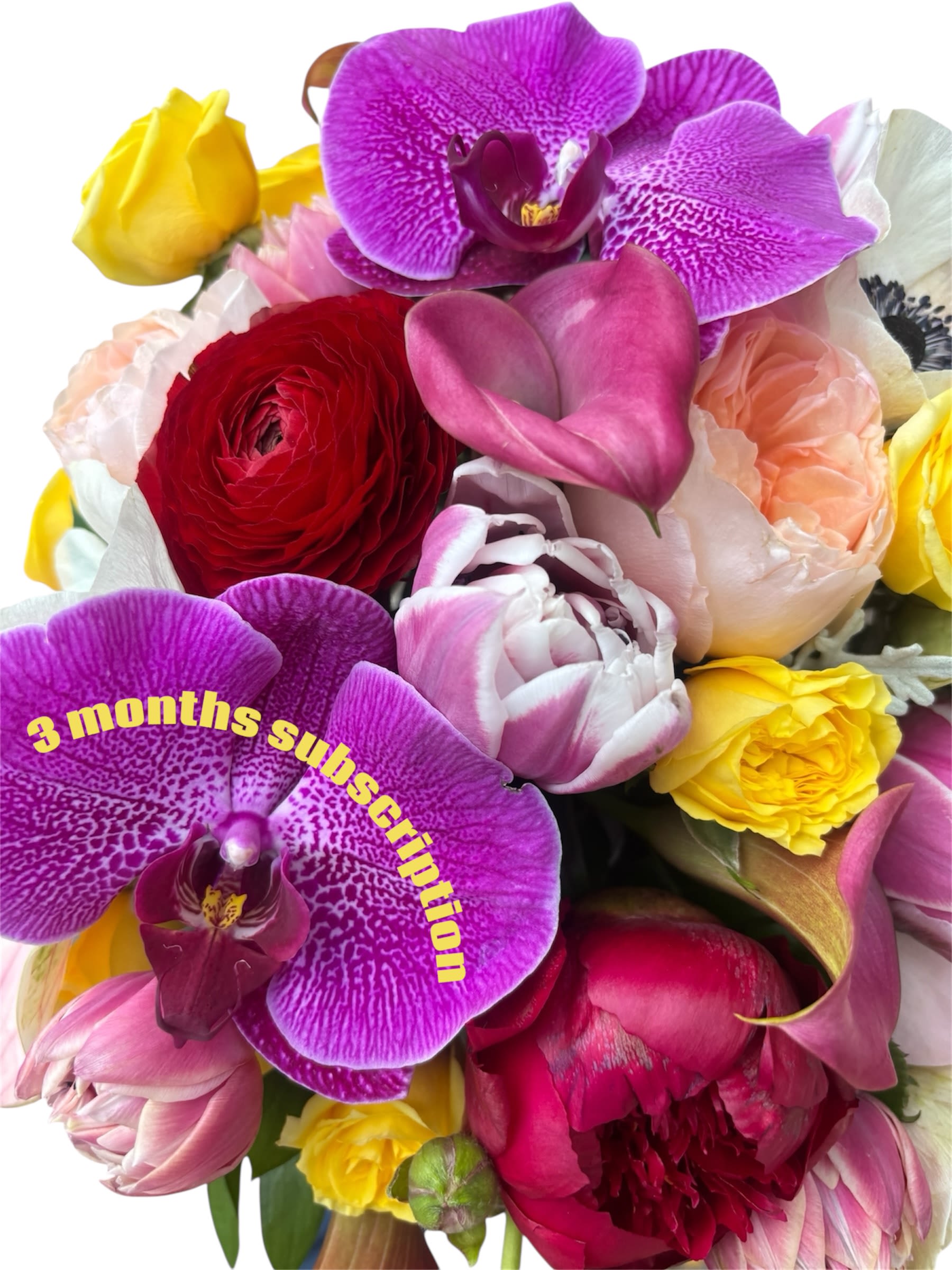 Monthly Flower Delivery - 3 Months - Let our designers do the heavy lifting! Just give us any specifications and as much detail as you see fit in the instructions section. Example: What's their favorite colors &amp; Flowers? What Florals and colors do they Dislike? What kind of size are you expecting? ( Tall &amp; airy, Short &amp; compact or something in between?) Any allergies or special requests? Then let the designers use their creativity!Perfect for treating yourself, gifting, and housewarming!  1. All subscriptions include a delivery fee and are paid ahead of time based on the length of subscription purchased.   2. Your subscription includes regular flower deliveries the same date each month as per your chosen plan. Delivery options available Monday through Friday with the exception of Holidays. We will contact you with an alternate delivery date. (Please specify delivery date in special instructions)  3. To make changes to your subscription, including pausing or cancelling, please call our shop directly. 