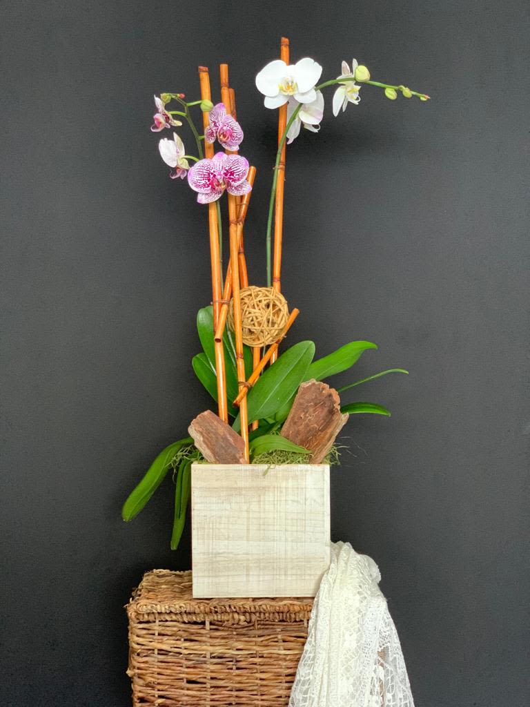 Plant and Decor - Each design celebrates our loved ones, the special moments in our lives and, of course, ourselves.