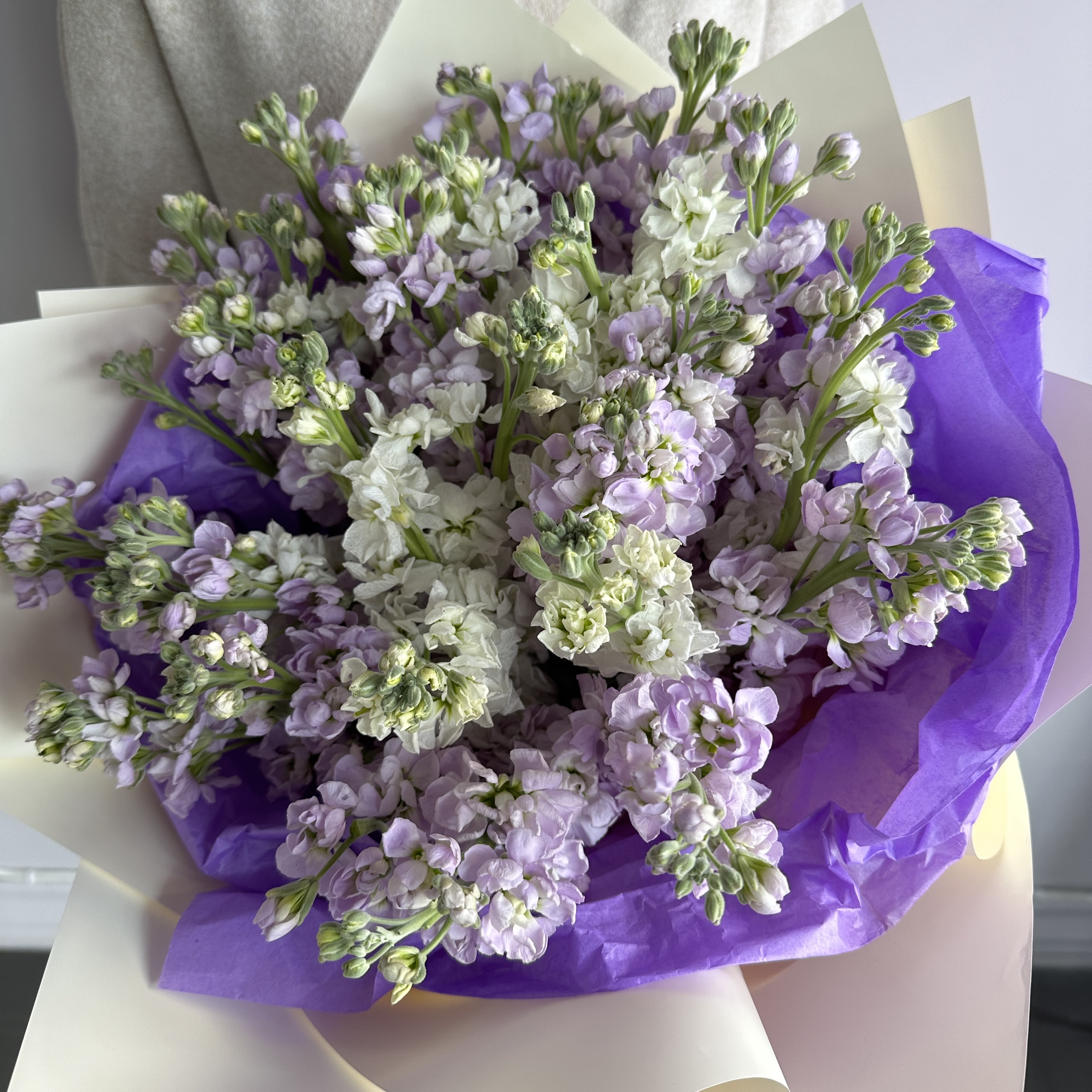 100S- Lavender Serenity Bouquet - Delight in the calming beauty of our bouquet of stocks. Featuring fresh, fragrant lavender stocks elegantly arranged to evoke a sense of peace and tranquility, this bouquet is perfect for any occasion. Its soft purple hues and natural charm make it an ideal gift for expressing love, and appreciation, or simply adding a touch of elegance to your space, a true celebration of nature’s grace. STANDARD size is shown in the picture.