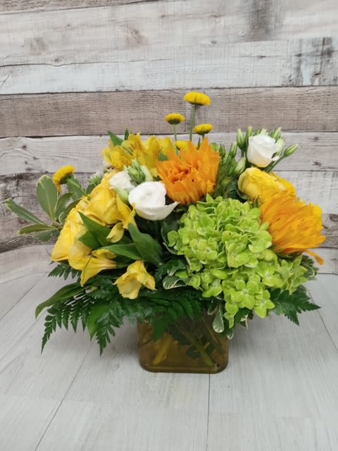Sunflower ページ Sunflowers By the Box 60 Stems
