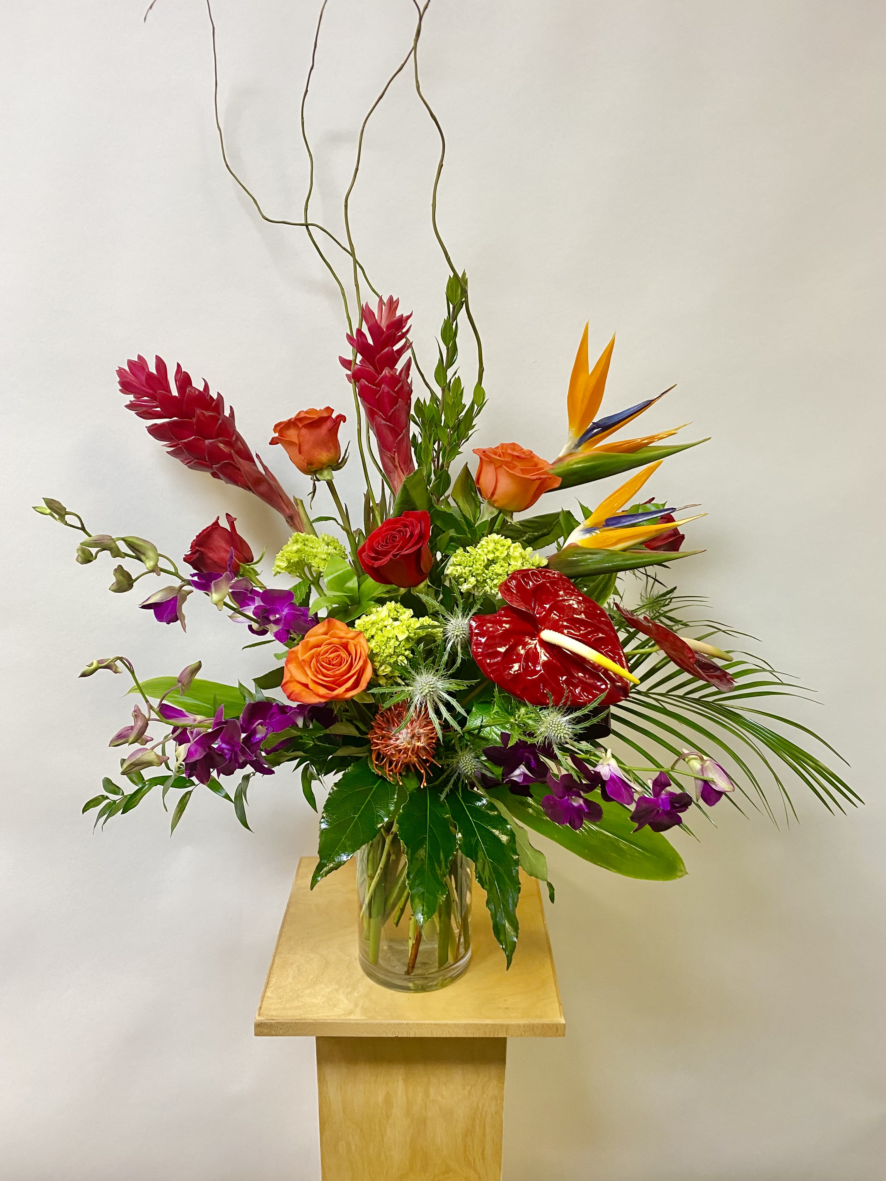 Love in Paradise - This Tall Tropical Arrangement includes Birds of Paradise, Red Ginger, Red Anthurium, Red and Orange Roses, Pincushion, Mini Green Hydrangea's, Safari Sunset, Blue Thistle, Purple Dendrobium Orchids, Curly Willow with Greenery in a Glass Vase. Or as Similar as Possible