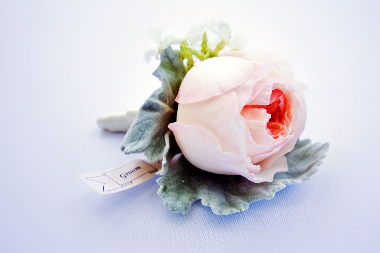 Garden Rose Boutonniere Garden Rose Boutonniere - A peach garden rose accented with jasmine and dusty miller silver greens, all in a ribbon-wrapped boutonniere.