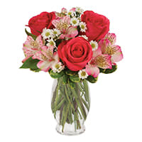 Citrus Delight Citrus Delight - Product ID: BF248-11KM Hot pink roses, pink alstroemeria and white Monte Casino blooms cannot possibly help but delight the appreciative recipient of this creatively designed arrangement. A dramatic green hobnob vase completes the look. Measures 11âH by 8âL.