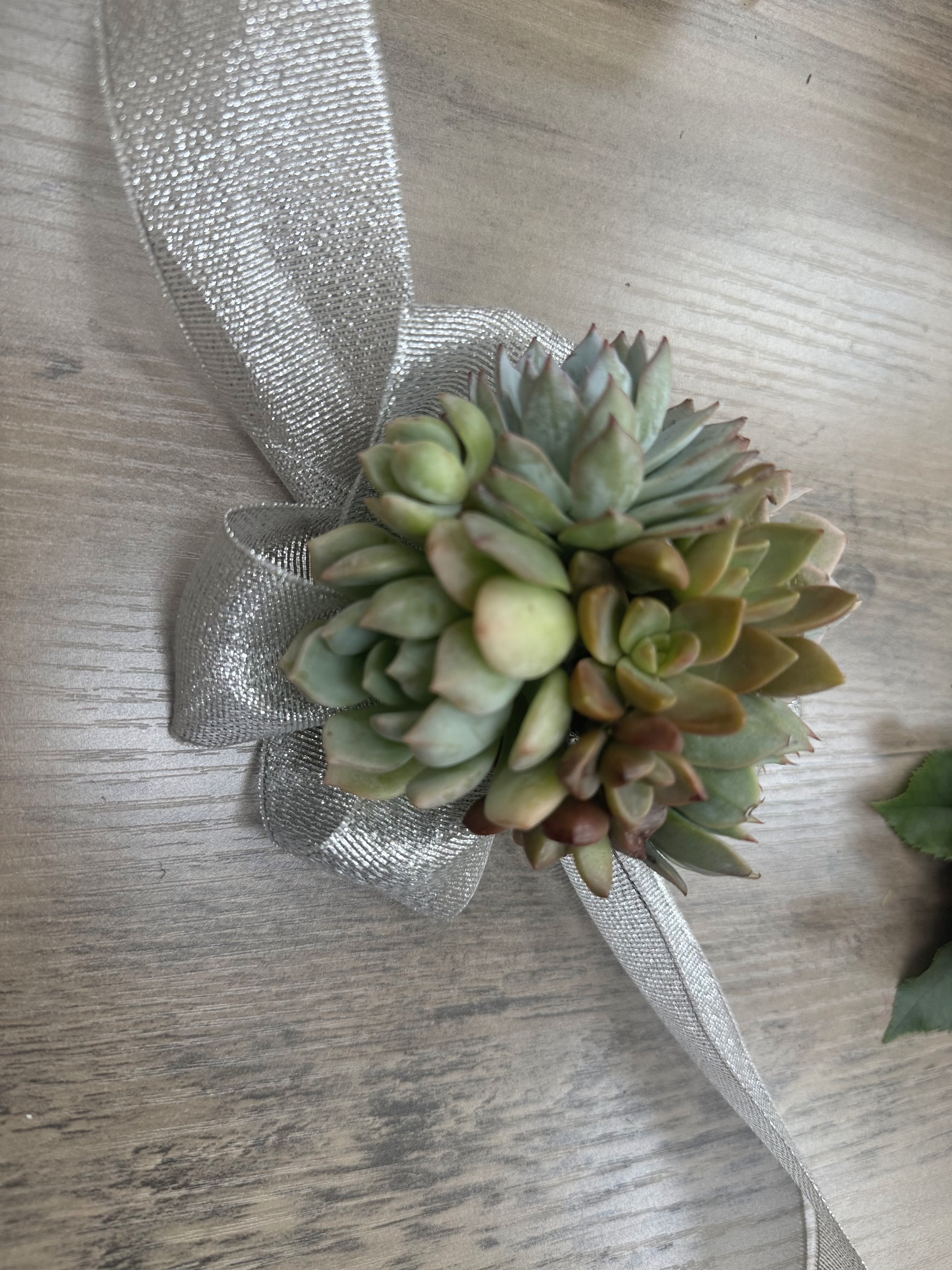 Succulent Corsage - This stunning wrist corsage features a lush cluster of real succulents, elegantly tied with a shimmering silver ribbon. Designed for weddings, proms, and formal events, it's a fresh, modern alternative to traditional floral corsages. Durable, stylish, and easy to wear, this piece brings natural charm and texture to any special occasion.  Handcrafted in Los Angeles and available for custom orders.