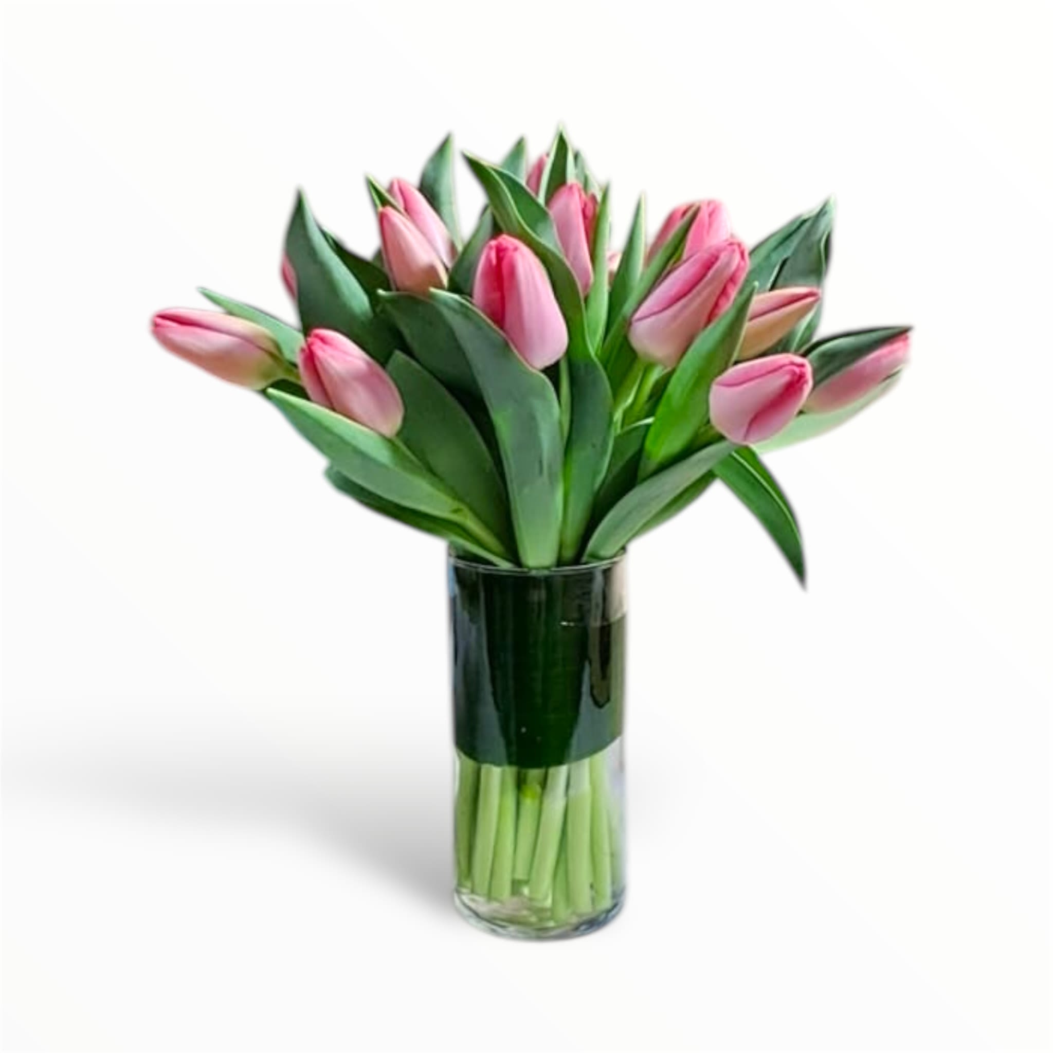 Coral Gems Coral Gems - This beautiful arrangement is tulips in a glass cylinder vase.