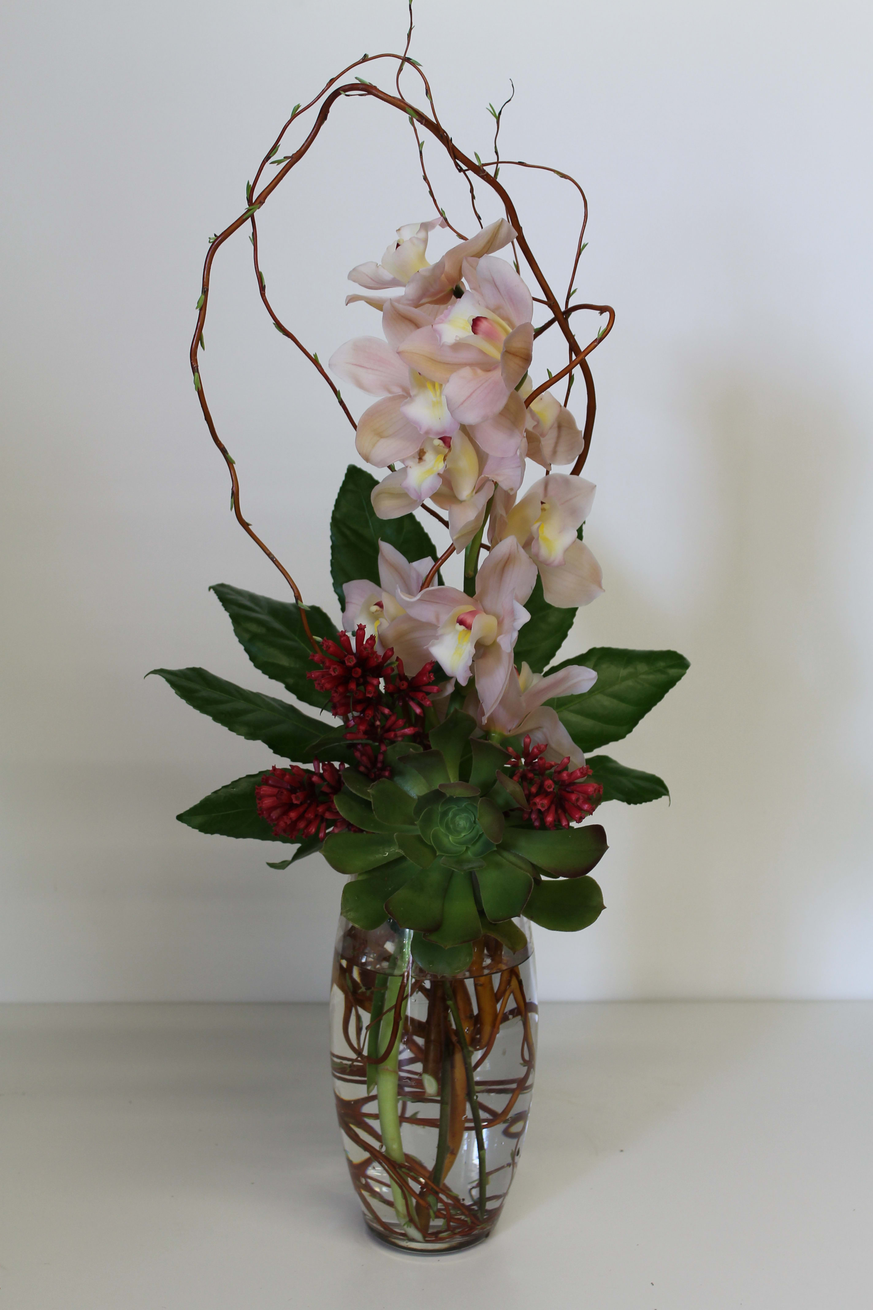 Orchid in Motion - Beautiful Orchid Design