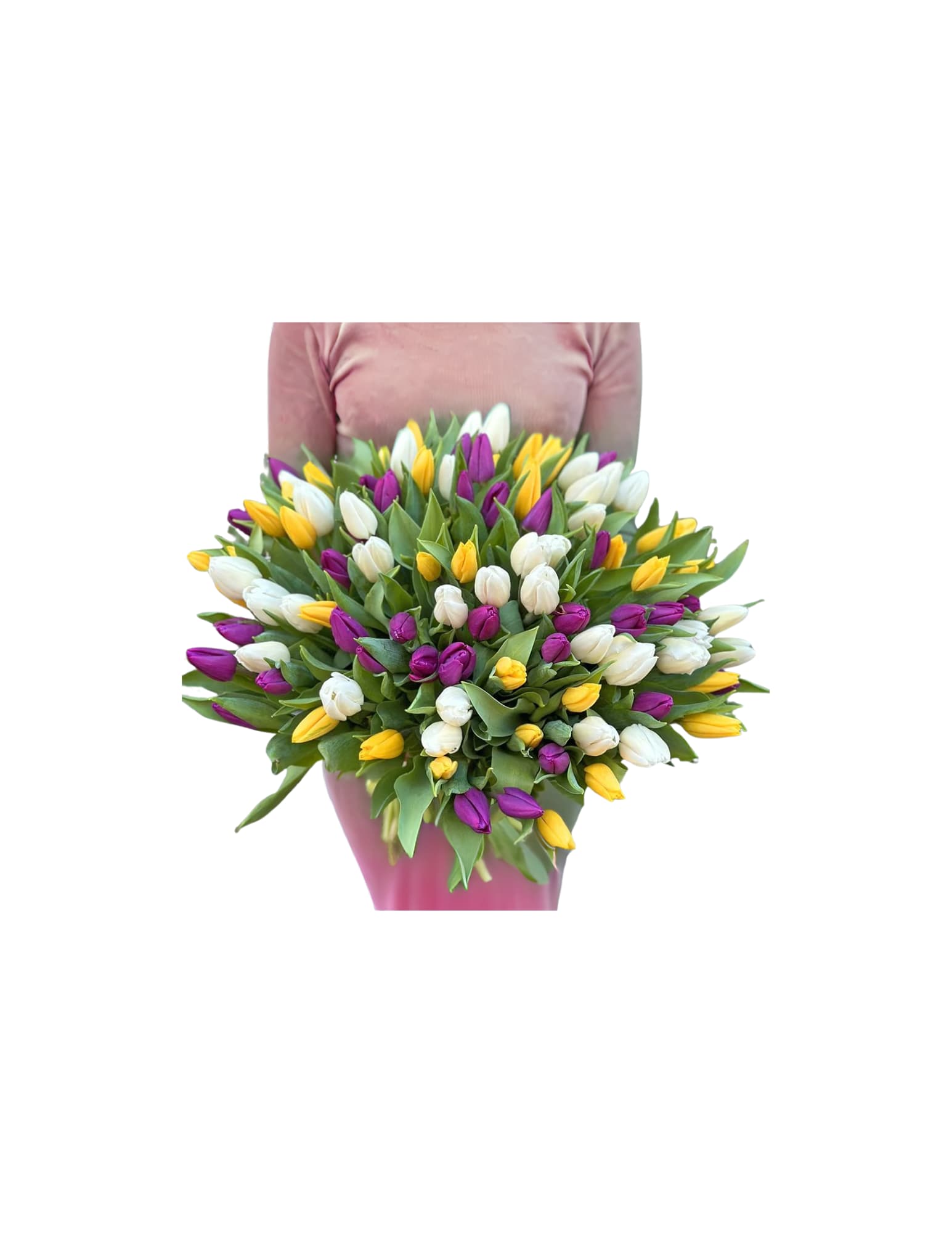 100 Tulip Mixed Colors PINK AND WHITE 100 Tulip Mixed Colors PINK AND WHITE - 100 tulips bouquet, wrapped with korean paper for a fancy look COLOR: Mixed bouquet of 1, 2 or 3 colors, depending on availability Arrangement Details: 100 Tulips wrapped