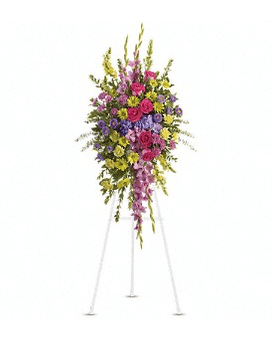 Bright and Beautiful Spray Bright and Beautiful Spray - Reflecting the many colors of life a rich spectrum of blooms evokes the range of emotions experienced in remembering a cherished loved one. A lovely assortment of flowers such as lavender gladioli and cushion spray chrysanthemums yellow snapdragons carnations and daisy spray chrysanthemums hot pink roses purple hydrangea asters and assorted greens are all presented on an easel. Approximately 29" W x 55" H Orientation: One-Sided T249-3Aa