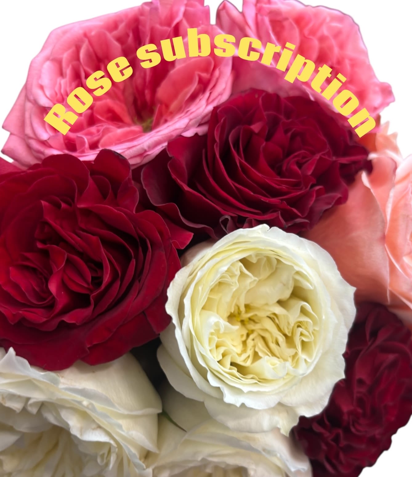 Monthly Roses Delivery - 6 Months - Let our designers do the heavy lifting! Just give us any specifications and as much detail as you see fit in the instructions section.Then let the designers use their creativity and surprise you with different beautiful rose arrangements each month! Perfect for treating yourself, gifting, and housewarming!  1. All subscriptions include a delivery fee and are paid ahead of time based on the length of subscription purchased.  2. Your subscription includes regular flower deliveries the same date each month as per your chosen plan. Delivery options available Monday through Friday with the exception of Holidays. We will contact you with an alternate delivery date. (Please specify delivery date in special instructions)  3. To make changes to your subscription, including pausing or cancelling, please call our shop directly.