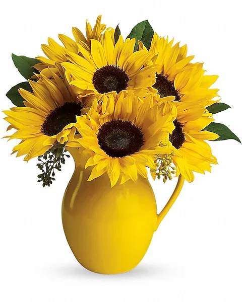 Teleflora's Sunny Day Pitcher of Sunflowers - Pour on the fun by sending this dazzling bouquet of summer's brightest blooms! Great if you're invited to a pool party, BBQ or just want to brighten up someone's day.  Stunning sunflowers, orange roses, salal and seeded eucalyptus are beautifully arranged in a brilliant yellow ceramic pitcher. This gift will be serving up fun and sun for years to come.