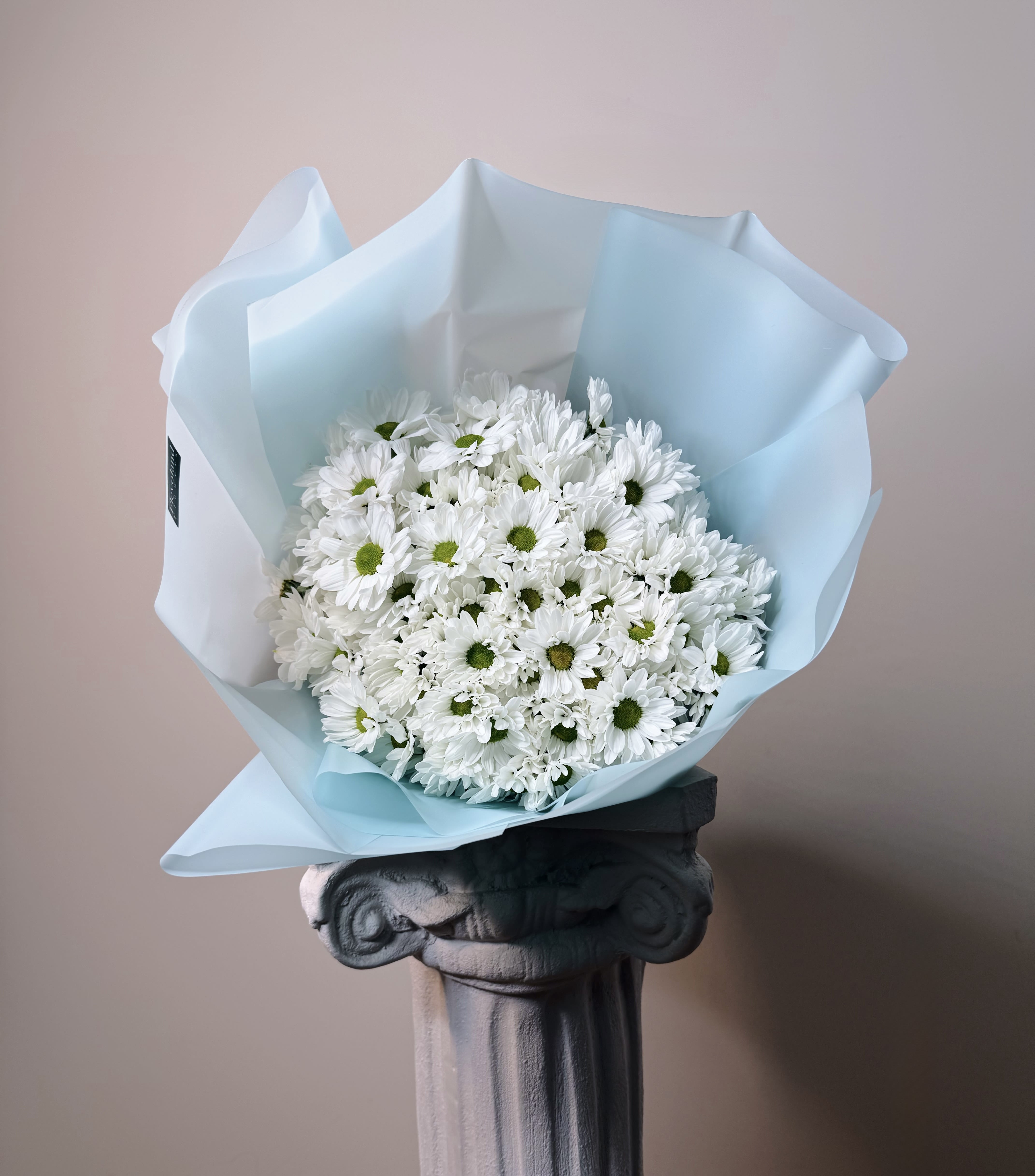 White Daisy Bouquet - Effortless and quietly beautiful. Fresh, soft, and quietly beautiful—these white daisies carry the kind of presence that doesn’t shout but stays with you. A bouquet made for those who know that simple can still be unforgettable.