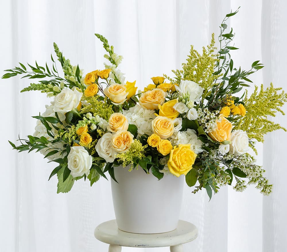 Limoncello Collection - Luxe Size  - Inspired by the sunny days on the Amalfi Coast, our Limoncello Collection is bright, zesty and full of yellow and cream colored blooms. A crisp white vase filled with garden roses, roses, spray roses, hydrangea, snapdragons and Lisianthus - all accented with Italian Ruscus and Solidago.   Our luxe sized designs are our most majestic and grand arrangements guaranteed to impress with its volume of blooms, rich design and gorgeous large ceramic vessel (white or gray.)   Dimensions: Arrangement is 24&quot; high and 20&quot; wide. Weight is approximately 30 pounds. Vase makes a lovely planter or vase for years to come.  