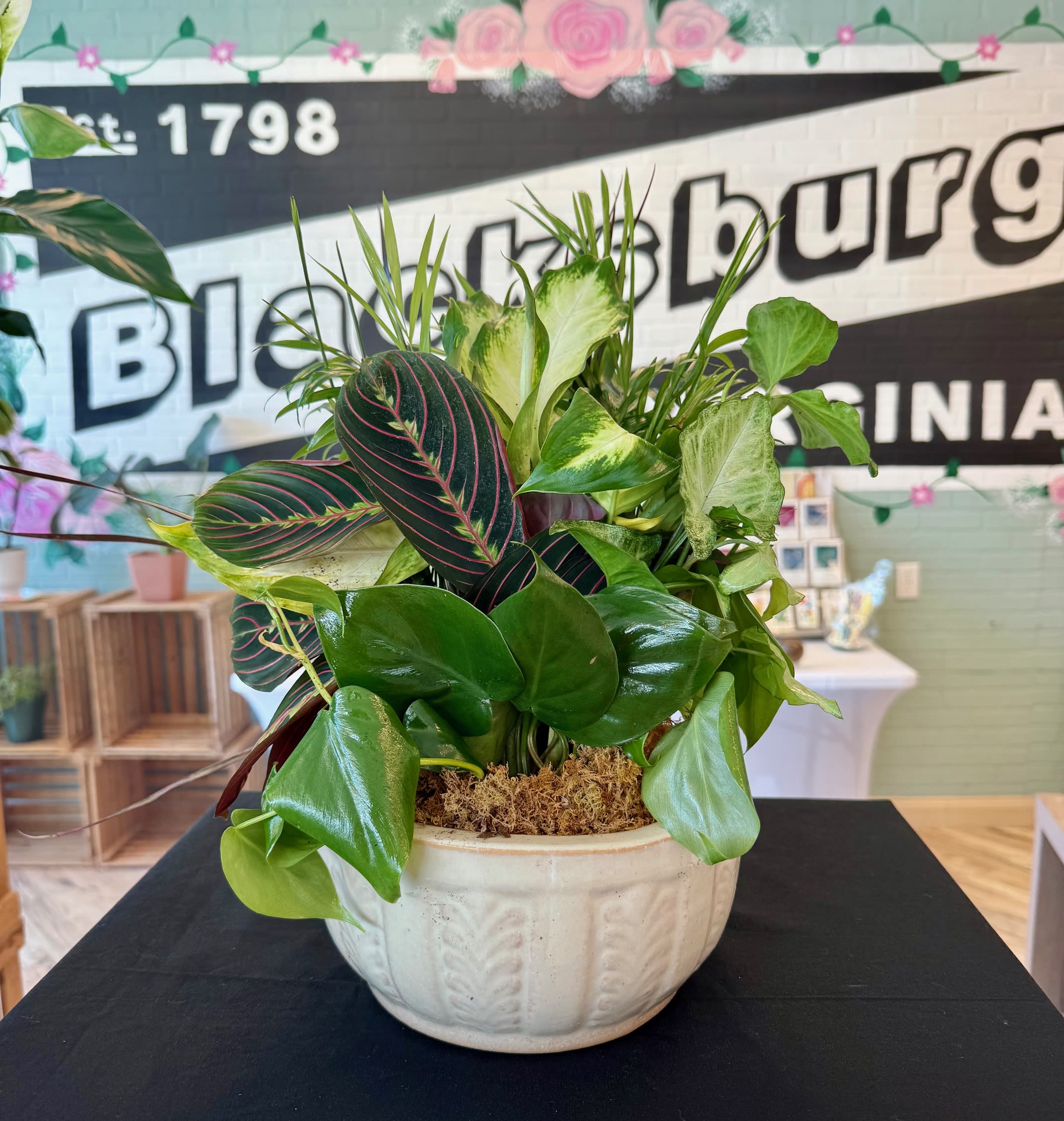 Medium Garden Dish Medium Garden Dish - This pleasantly beautiful garden dish comes in a sturdy ceramic pot, sure to bring a breath of fresh air to your home!