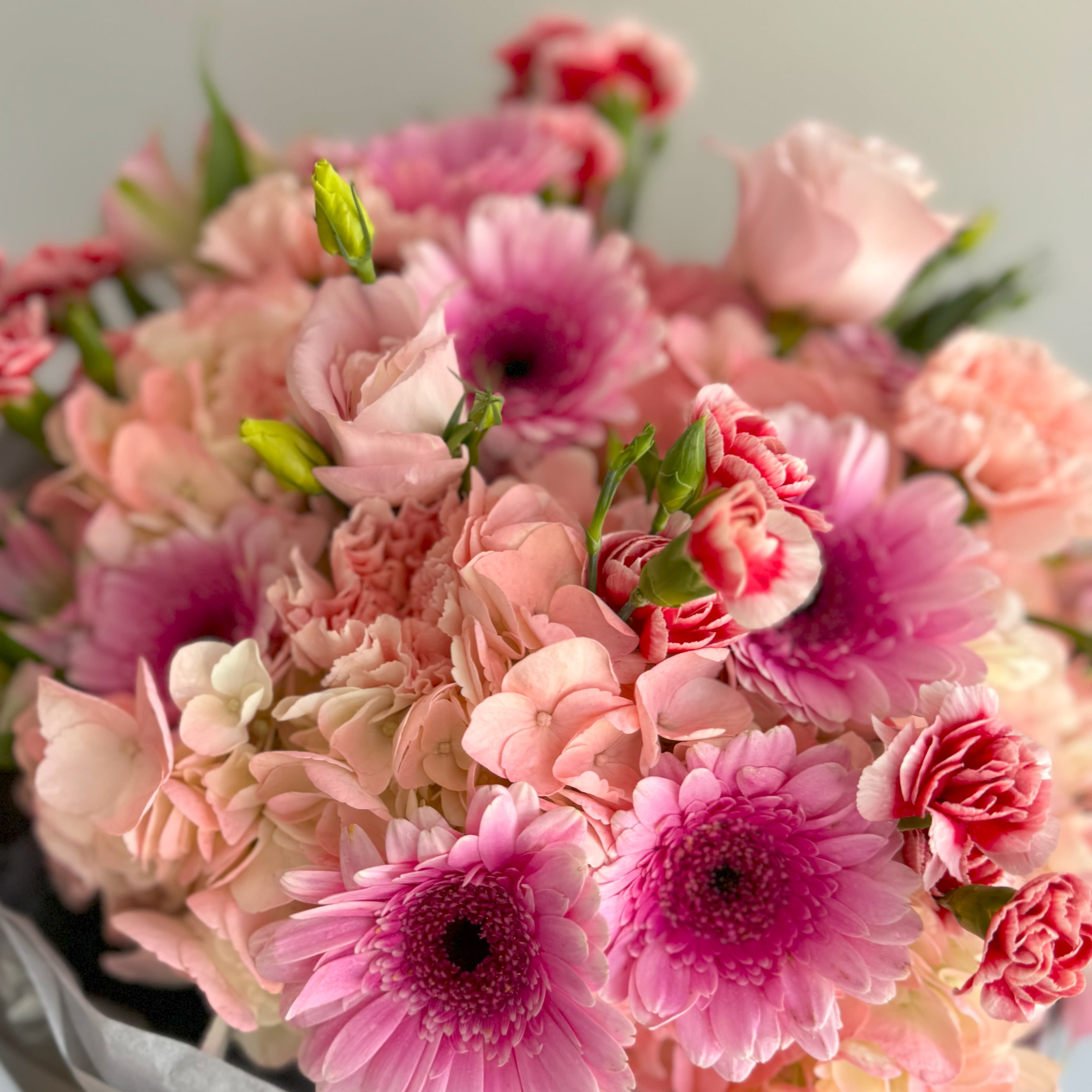 #9 Simply - Mix colors gerberas, hydrangeas and baby mix fillers are synonymous with celebrating the joy and passion of love. This bouquet is beautiful way to convey your respect and love!  shown an actual size &quot;Standard&quot; Seasonal flowers can be replaced with a similar one. Wrap paper and vases can also be replaced with others.