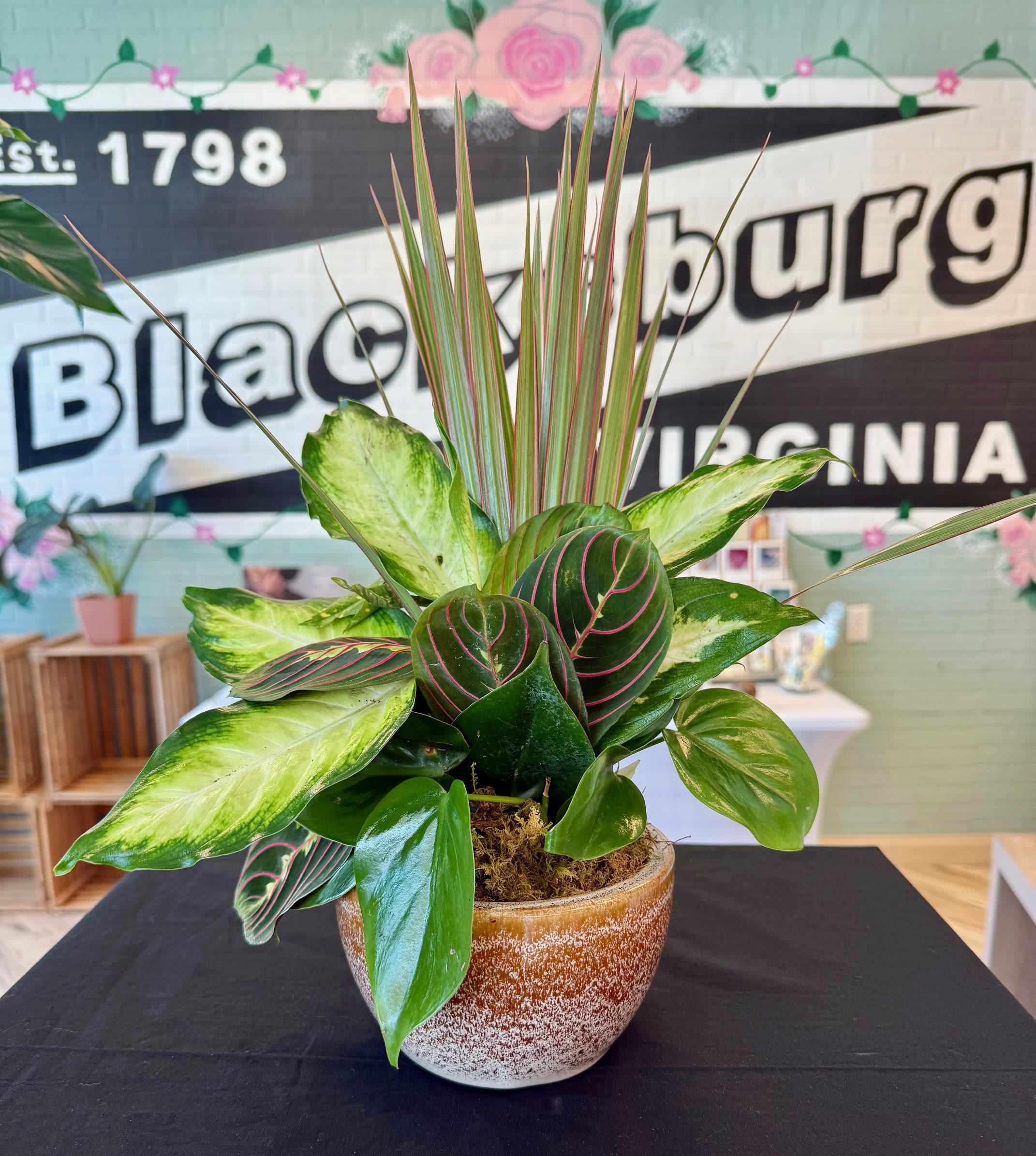 Large Leaf Medium Dish Garden Large Leaf Medium Dish Garden - This lovely collection of large leaf house plants comes in a study and rustic base.