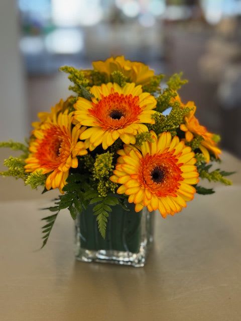Mini Gerbera cube - 3x3 cube vase with 7 to 8 gerbera daisies and filler color will depend on availability  perfect for a desk or small table