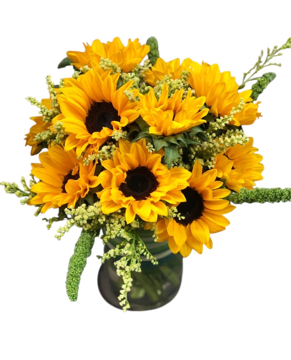 Sunflowers, Sunflowers and Sunflowers! - Who can have too many sunflowers? No one! Bright and cheerful, this stunning arrangement showcases a vibrant gathering of fresh sunflowers, radiating warmth and happiness. Perfect for bringing a touch of sunshine to any occasion! ️ Vase may be substituted depending on size of the sunflowers stems - those babies can be fat!