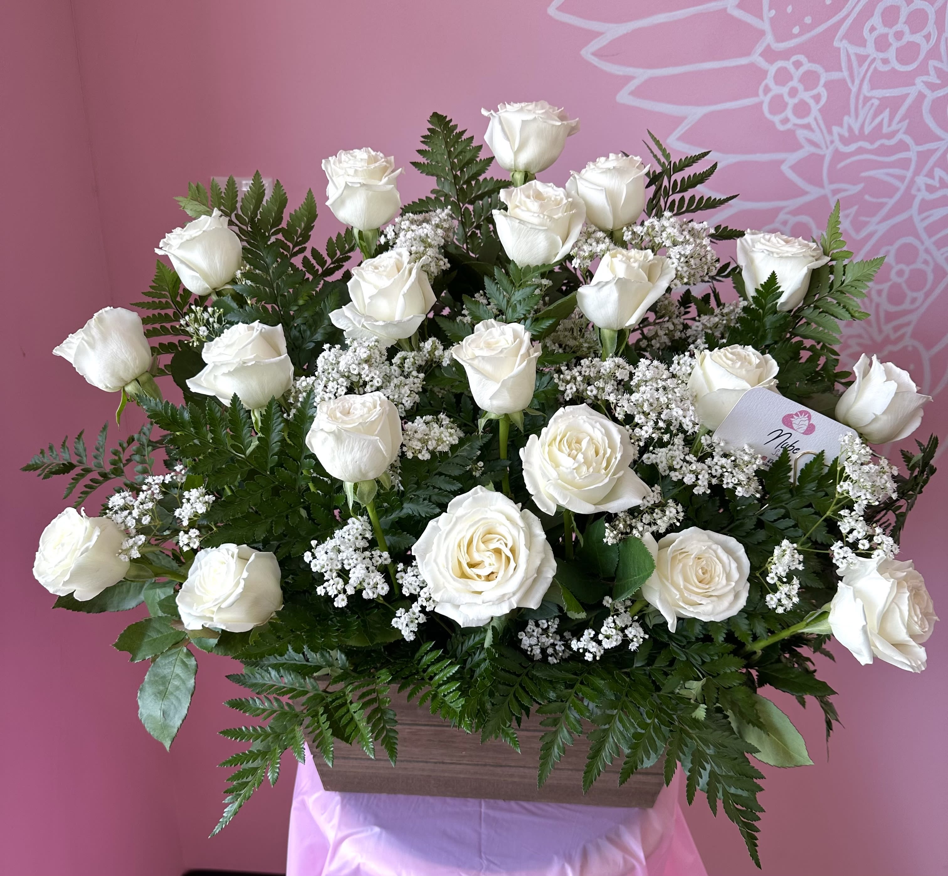 Peace Roses - White roses 