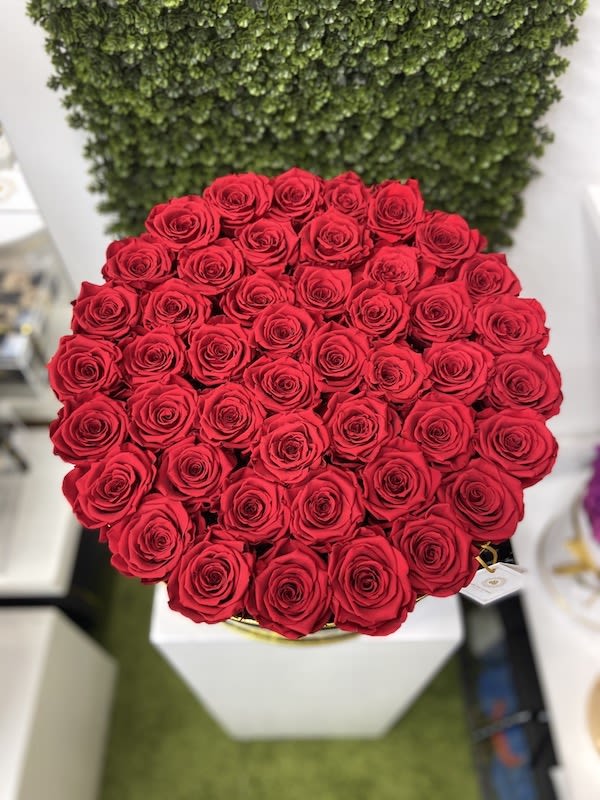 Magna Round Box Eternal Roses - Black Box, Red - Magna Round Box Eternal Roses: We stopped the clock for our preserved roses to experience our Eternal Deluxe Collection timelessly. 48- 50 preserved roses decorated in our signature deluxe magna round boxes and completed with a bow and a personalized card message, trendy and fancy. Roses that Last 3 years.