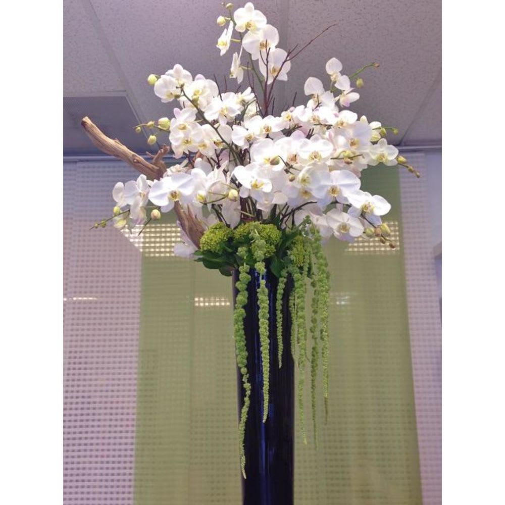 Phalaenopsis Orchids Tribute Flower Bouquet Phalaenopsis Orchids Tribute Flower Bouquet - Go big with our best selection of phalaenopsis orchids artistically decorated with driftwood and mini green hydrangeas placed in a black/white tall cylinder vase completed with a personalized card. Classy choice!