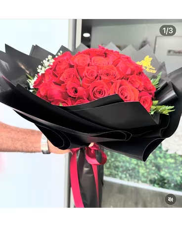Wrap of 24 Red roses - 24 roses