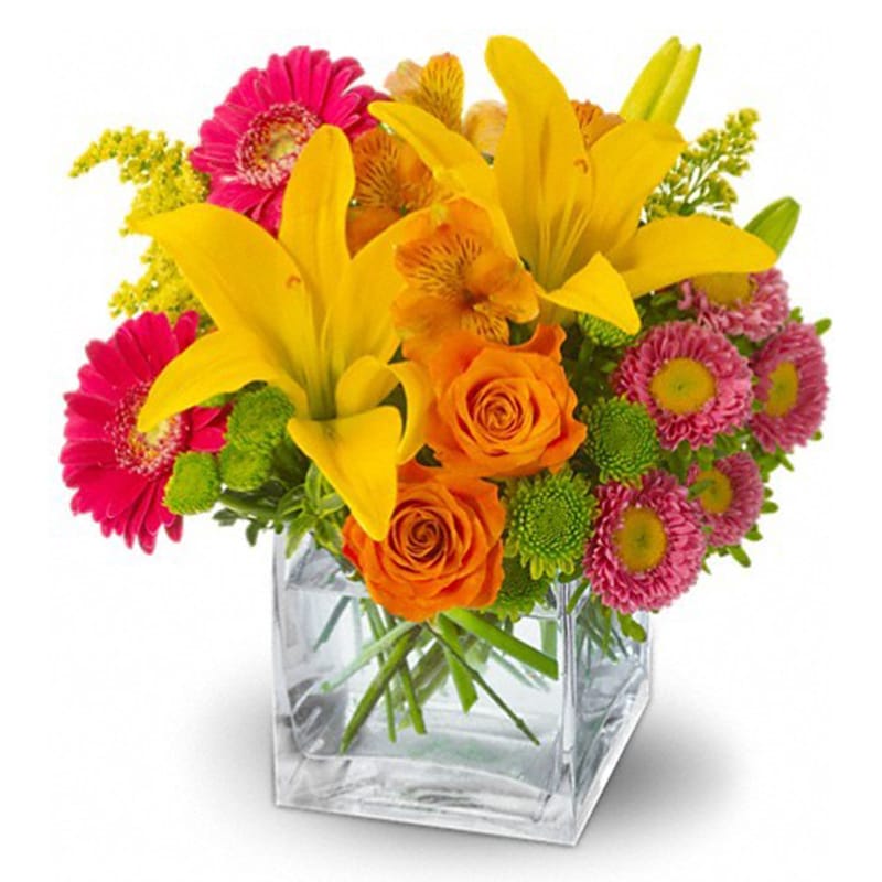 Summertime Splash [T05N101A] - Make a summertime splash with this pop art mix of yellow, hot pink, orange and green blossoms, presented in a modern glass cube vase - and bring warm-weather fun to someone's day!  Orange roses and alstroemeria, yellow Asiatic lilies, pink Matsumoto asters, hot pink miniature gerberas and green button spray chrysanthemums - accented with oregonia and solidaster - are delivered in a Teleflora clear glass cube vase.  Approximately 9&quot; W x 10&quot; H  Orientation: All-Around      As Shown : T05N101A