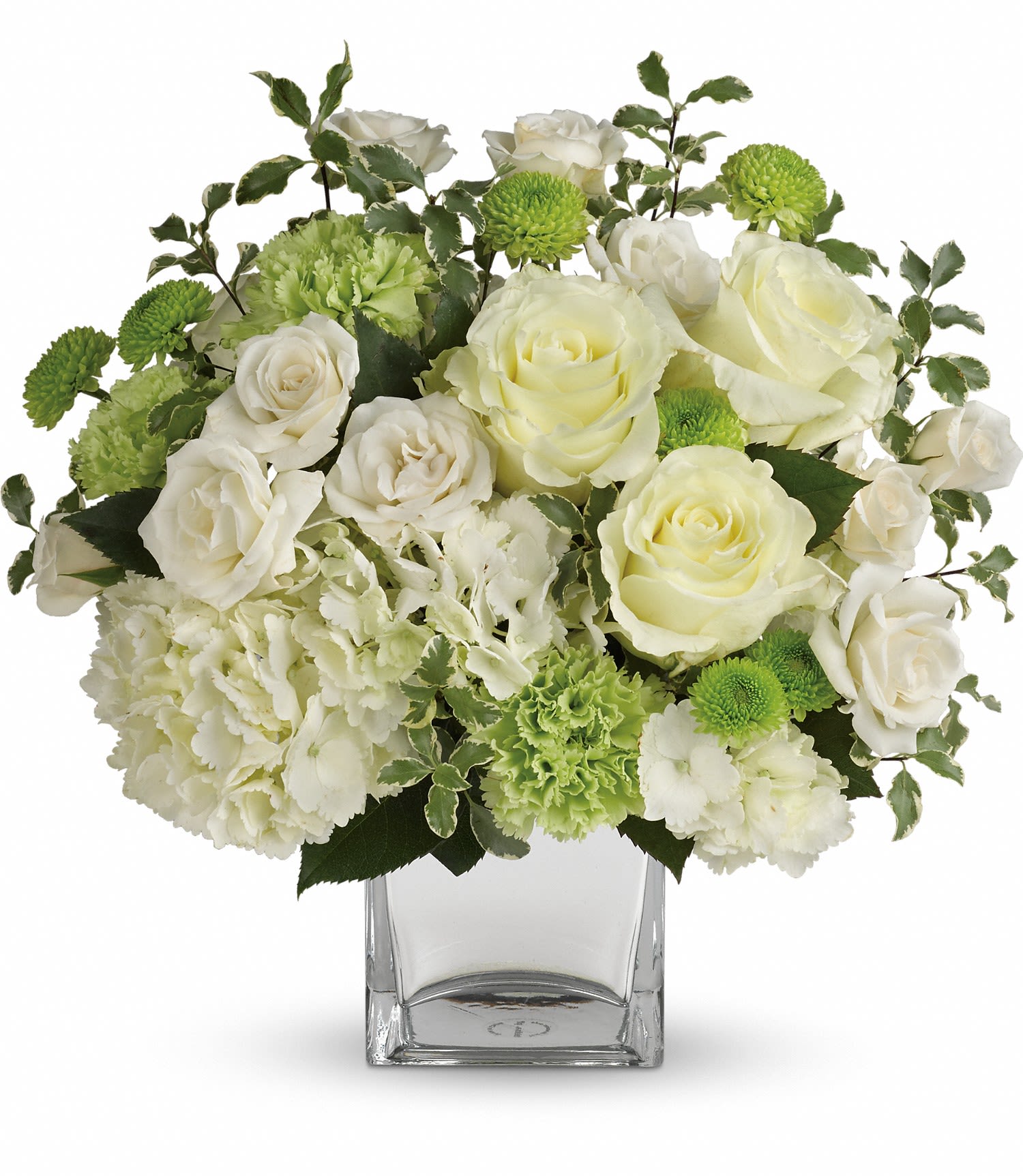 Shining On Bouquet - Let your love shine! No matter the recipient or the occasion, this stunning monochromatic mix of hydrangea and roses, hand-delivered in a shimmering silver cube, is destined to delight and inspire.  This bouquet of blooms includes white hydrangea, white roses, white spray roses, green carnations, green button spray chrysanthemums and pitta negra. Delivered in a silver mirrored cube vase. Approximately 13 1/4&quot; W x 13&quot; H