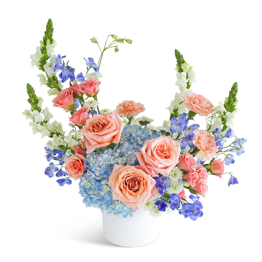 Ethereal Juliette - &quot;Experience the enchanting allure of our Ethereal Juliette flower design. This breathtaking arrangement of peach and blue blossoms features a delightful combination of Roses, Delphinium, Carnations, Mums, Hydrangea, Snapdragons, and premium foliage. Expertly arranged in a white cylinder, this design exudes elegance and sophistication, making it a perfect gift for any occasion.  At our flower shop, we continually update our flower inventory based on the seasons and market availability. The images you see here give you an overall idea of the size and style of our arrangements. We strive to provide same-day flower delivery in most instances, so kindly ensure that you provide us with the complete address and contact details of your recipient to guarantee a smooth direct delivery.&quot;