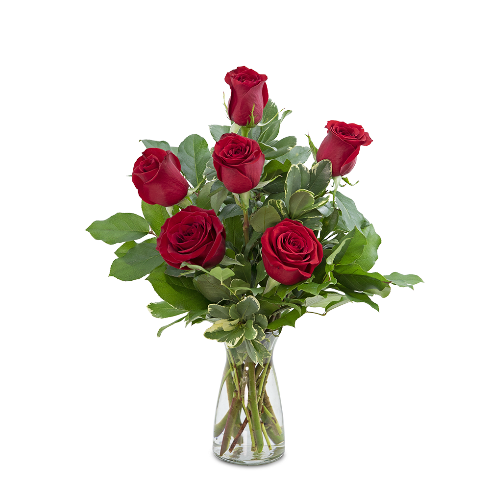 Red Roses (6) Red Roses (6) - Red roses have always been the symbol of love and romance, and continue to be the best way to send your love. Express your feelings with these half dozen charming red roses, complemented with premium foliage. Say I love you with this classically simple and romantic gift.