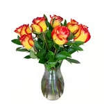 Flames Of Passion - Are red roses not their style? Treat them to something with a little more passion! These Hi &amp; Magic roses are a blaze of fiery excitement and just the thing to let them know how you feel.  