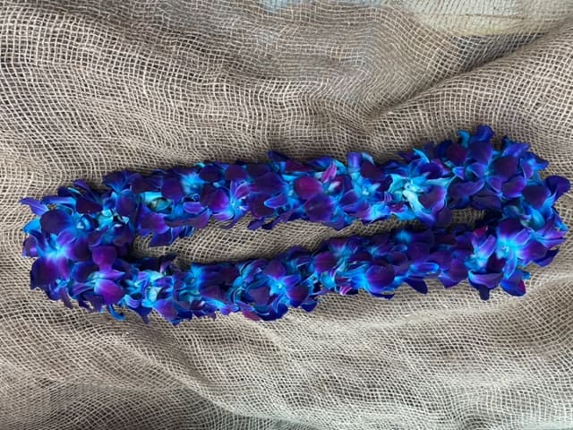 Double Strand Blue Dendrobium Orchid Lei Double Strand Blue Dendrobium Orchid Lei - Pre order 5 days in advance.