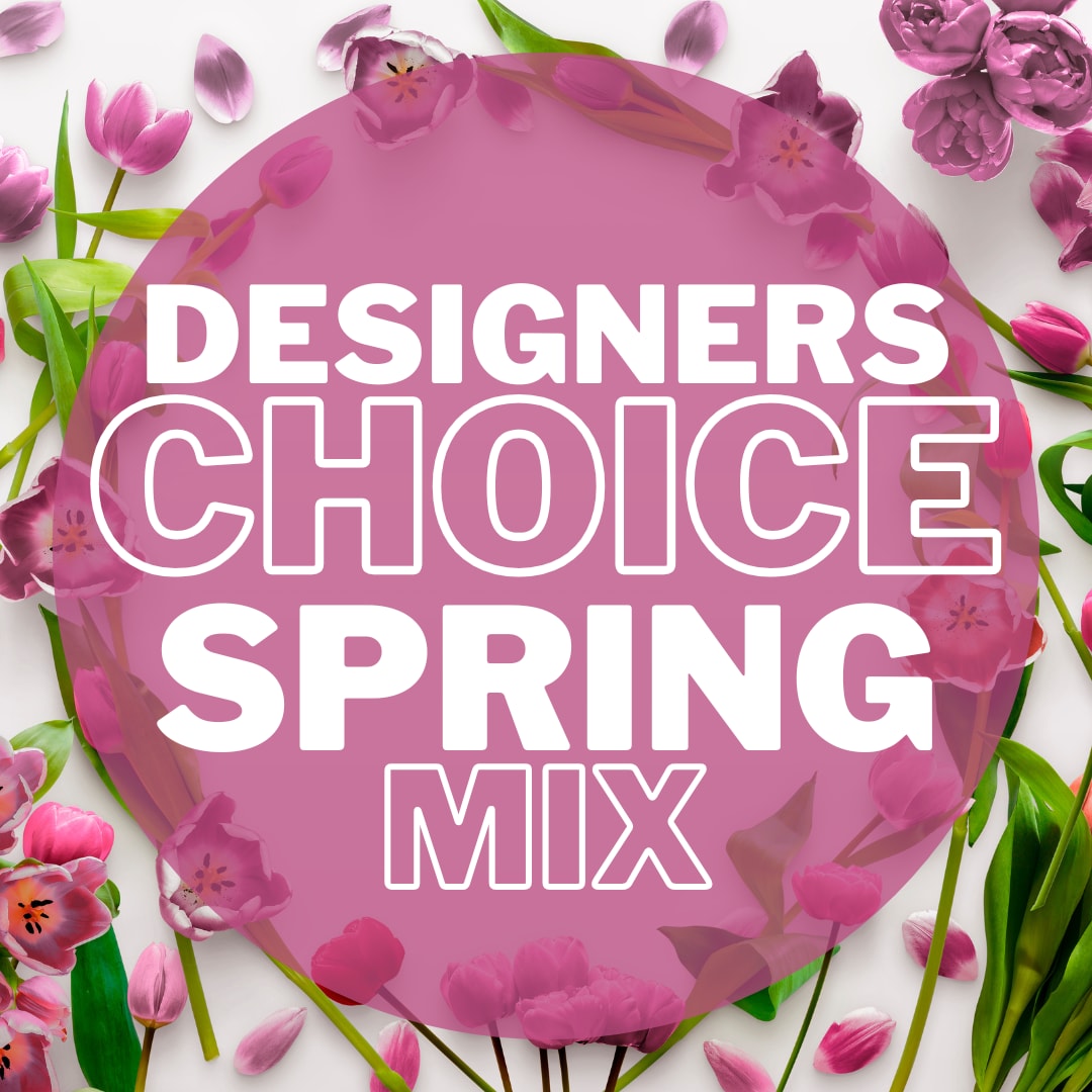 Spring Mix - Seasonal Designers Choice Arrangement Spring Mix - Seasonal Designers Choice Arrangement - Leave the Work to Us! Let Our Designers Use Their Years of Experience to Make a Beautiful Arrangement for Your Loved One To Enjoy!