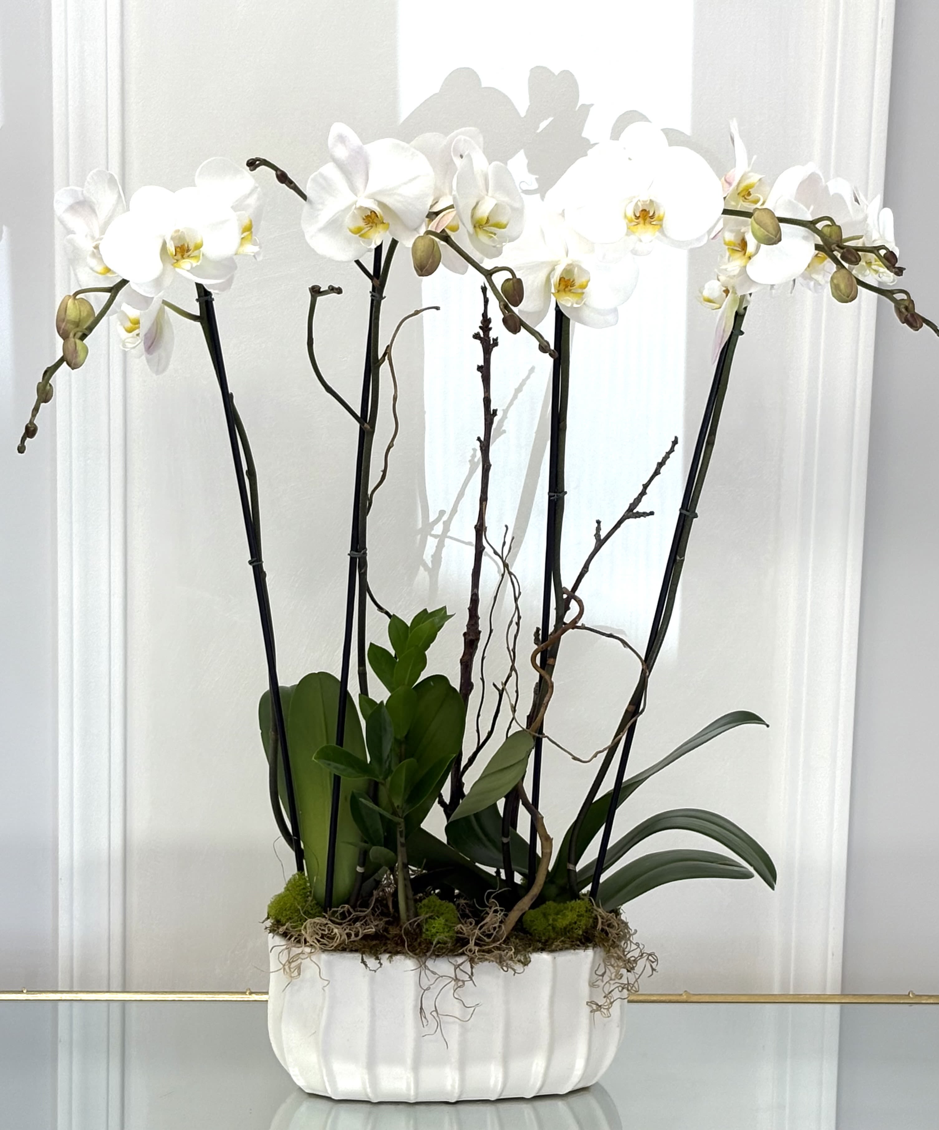 White Orchids By VLM Flowers White Orchids By VLM Flowers - This is a four-branched orchid that will make you and the receiver look at it day by day.