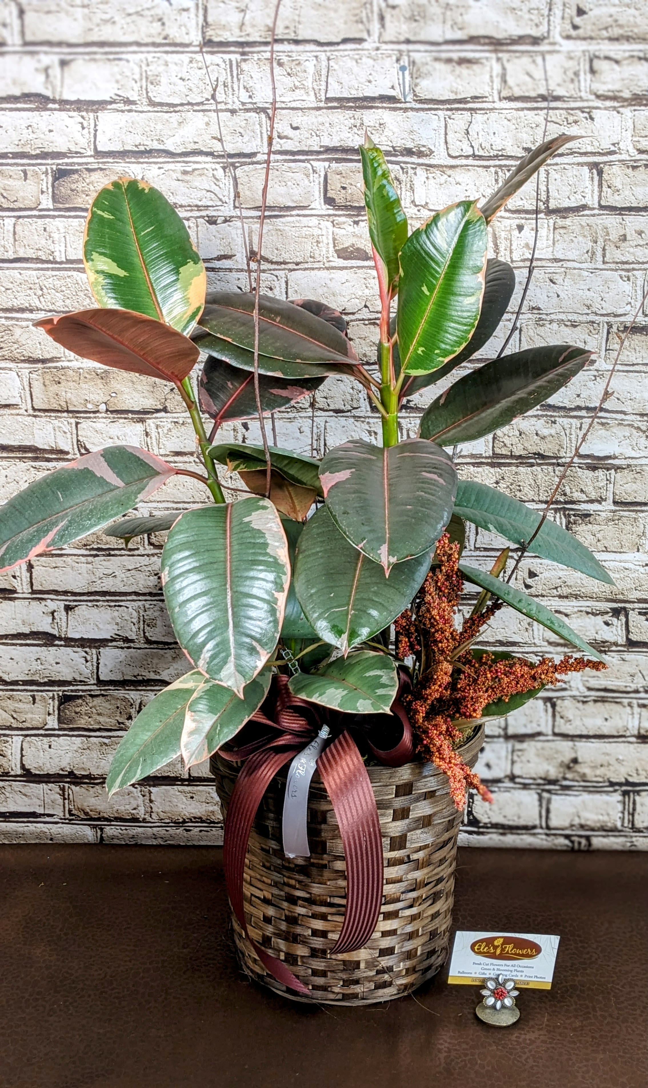 Simplistic Variegated Rubber - 8&quot; Planter - A variegated Rubber (Ficus) plant, known for its striking appearance, features glossy green leaves with creamy white or yellow margins. This eye-catching foliage makes it a popular choice for indoor decoration. The plant is relatively easy to care for, thriving in bright, indirect light and requiring moderate watering. Its ability to purify indoor air adds to its appeal, making the variegated Ficus a stylish and functional addition to any home or office.  We enhance this plant with a decorative basket and other artificial items. Care instructions will be included with the plant.  Approximate Dimensions: 30&quot;H x 23&quot;W