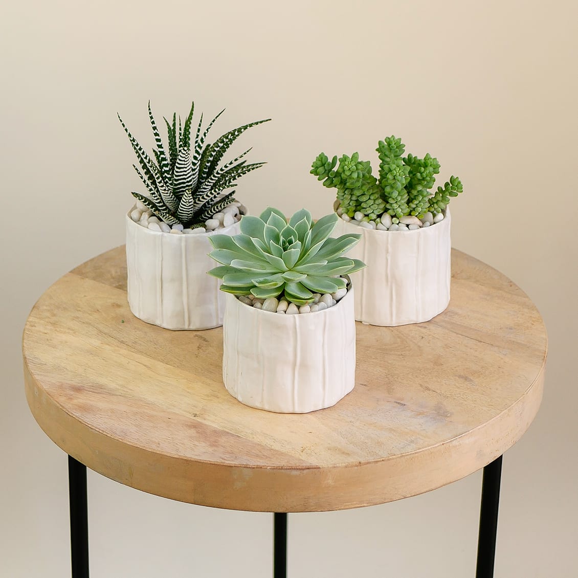 The Succulent Trio - Modern, minimal, and full of personality — our Succulent Trio is the perfect way to bring effortless green plants into your space. Each set includes three unique 4&quot; succulents artfully arranged in textured ceramic pots and topped with decorative pebbles for a clean, polished look. Low-maintenance and full of charm, this trio makes a thoughtful gift or a stylish accent for desks, shelves, or windowsills. Different vase options are available. Succulents will vary.