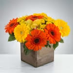Storybook by BloomNation™ - Everybody loves daisies! Send this cheerful wooden box featuring orange and yellow gerbera daisies to your gran and gramps for Grandparents Day or your employee on Admin Appreciation day.  Approximate Dimensions: 13&quot;D x 10&quot;H