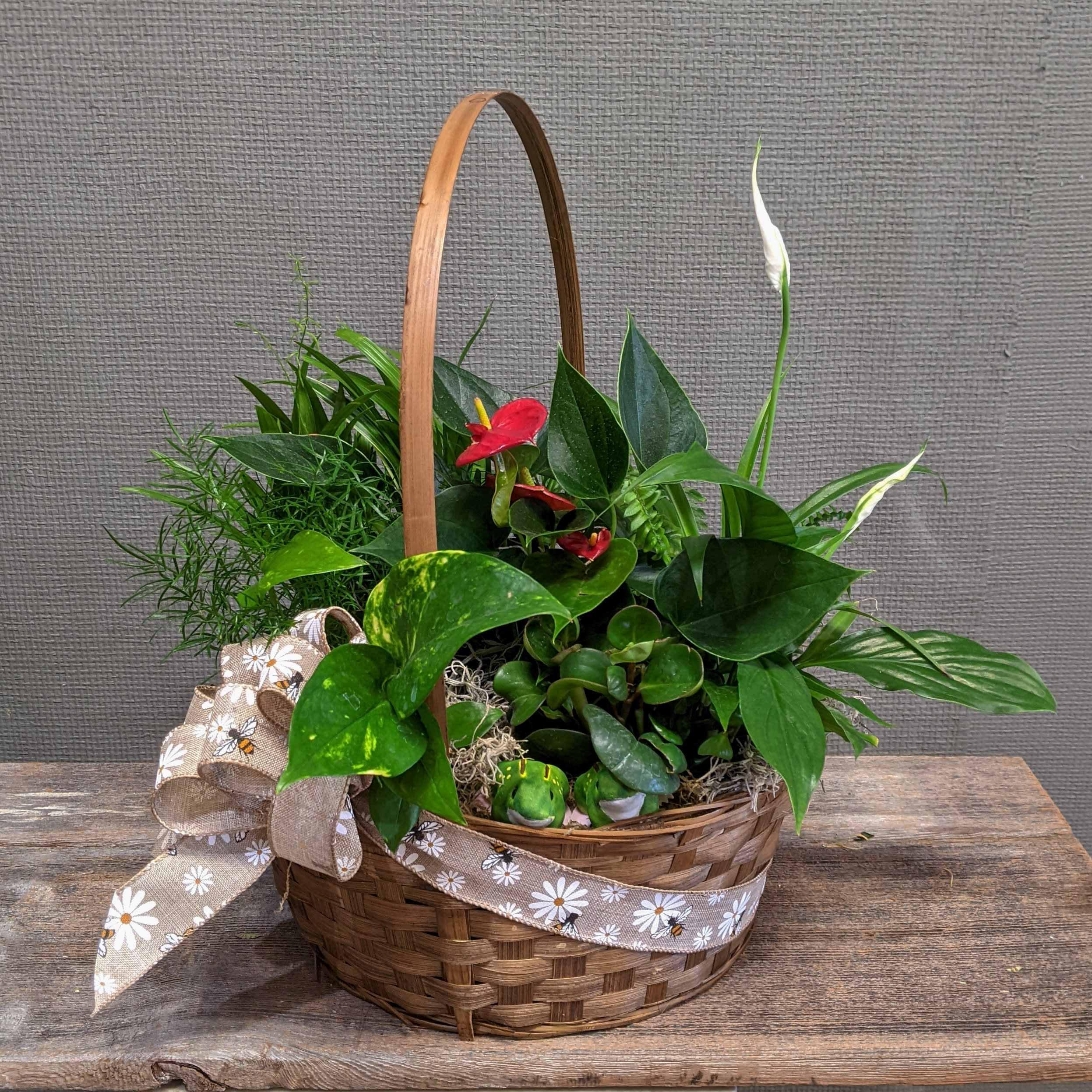 Blooming Plant Basket Premium Blooming Plant Basket Premium - Make a statement with this lush tropical plant basket. A picnic style basket with a blooming red Anthurium and 7-10 green plants; this long lasting basket loves Humboldt weather.
