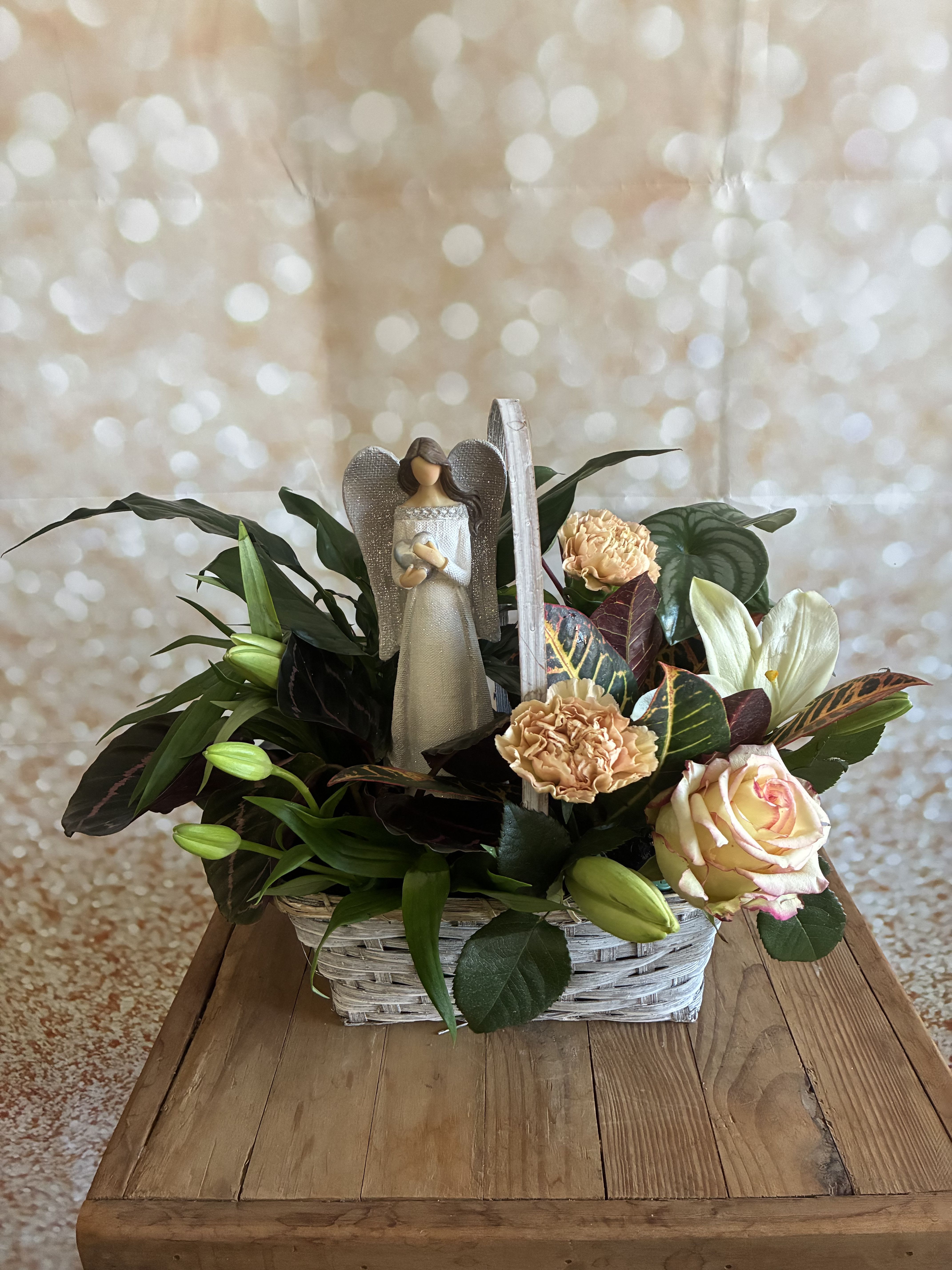 Angel's Grace Angel's Grace - A keepsake angel mixed with a variation of 4 in (indirect sunlight) house plants and fresh blooms.