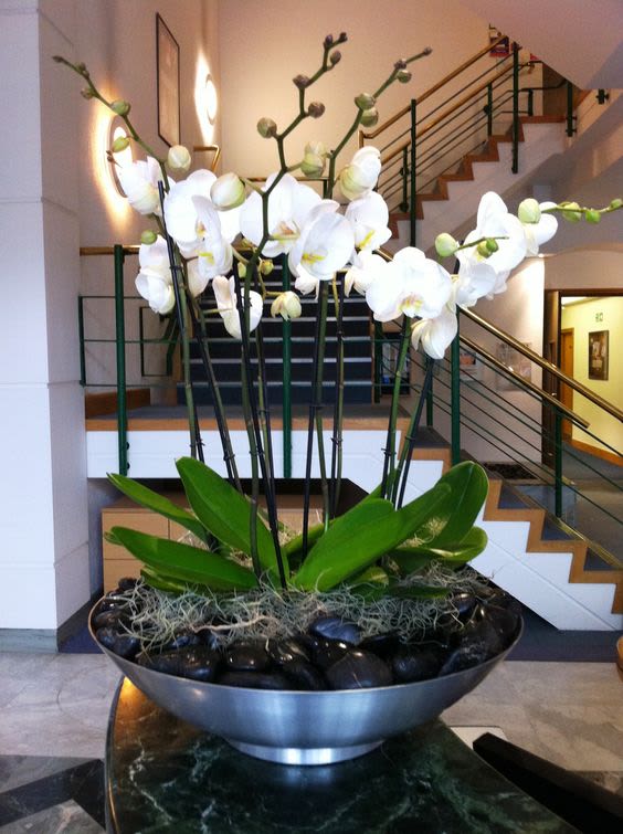 C27 - Simple and lavish by definition. Blends in perfectly with a modern monotone home or office. Simple white orchids, moss and black stones in a silver platter-like vase.
