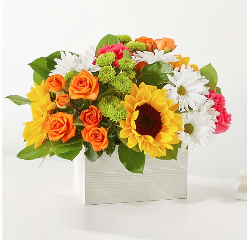 Hello Sunshine - Sunflowers with orange roses / pink carnations with daisies and buttons in a white box or cube!