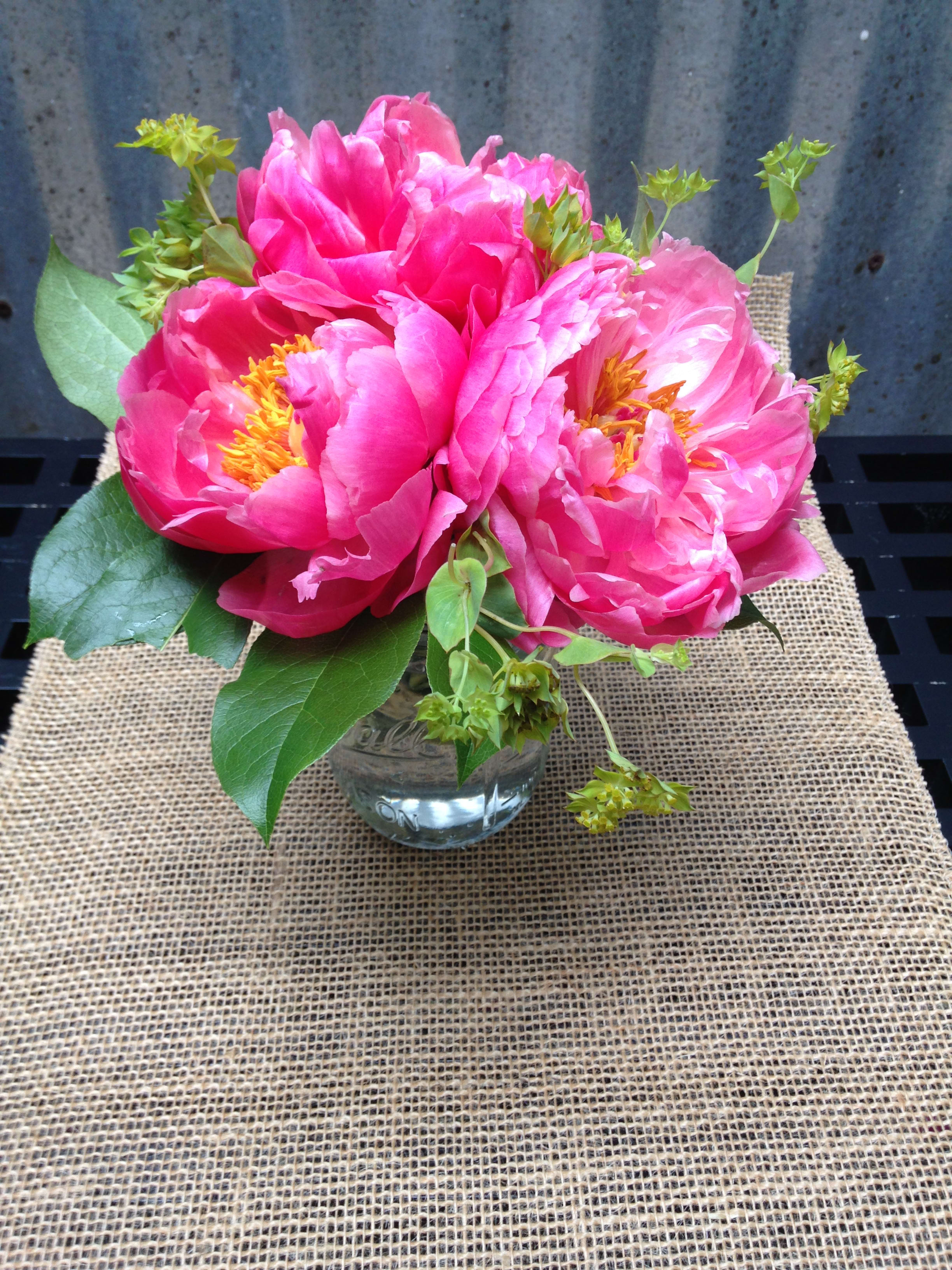 Precious Peony Jar - A trio of elegant peonies with a touch of greenery in a mason jar. Perfect for a desk or table top! (Featured Arrangement: $60.75. 