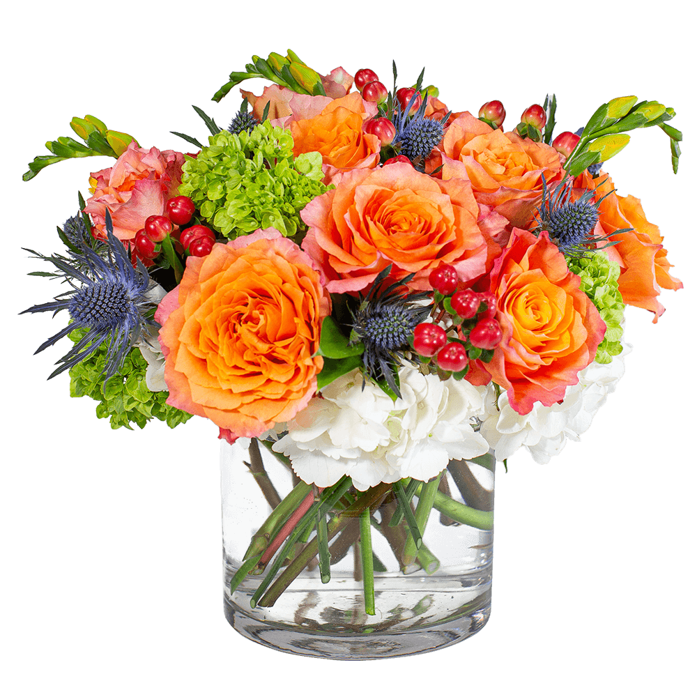Tangerine Bouquet - Tangerine is a mesmerizing bouquet of Roses, Hydrangea, and Blue Thistle tastefully blended in this sophisticated arrangement.