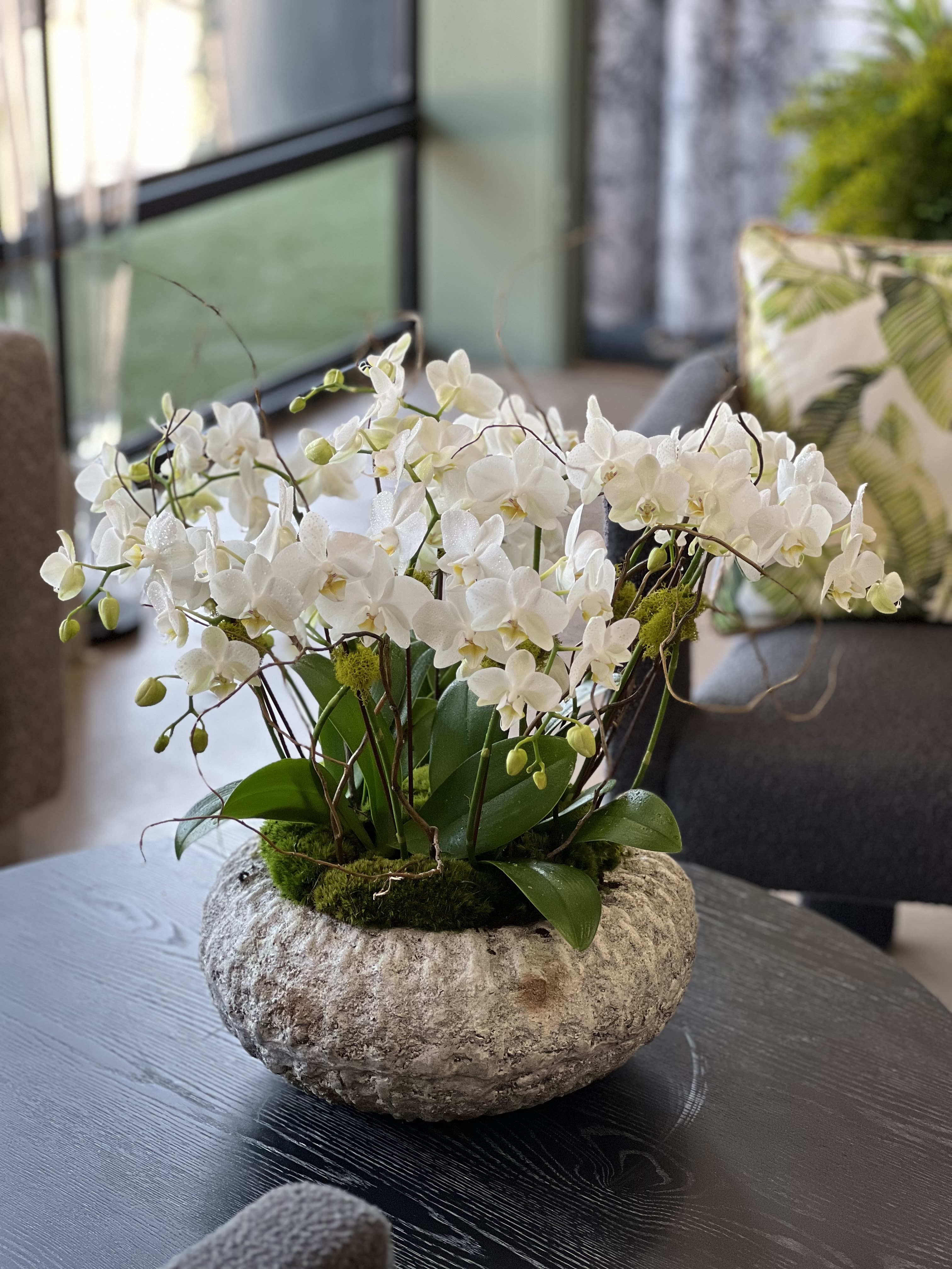Samantha Samantha - Orchids