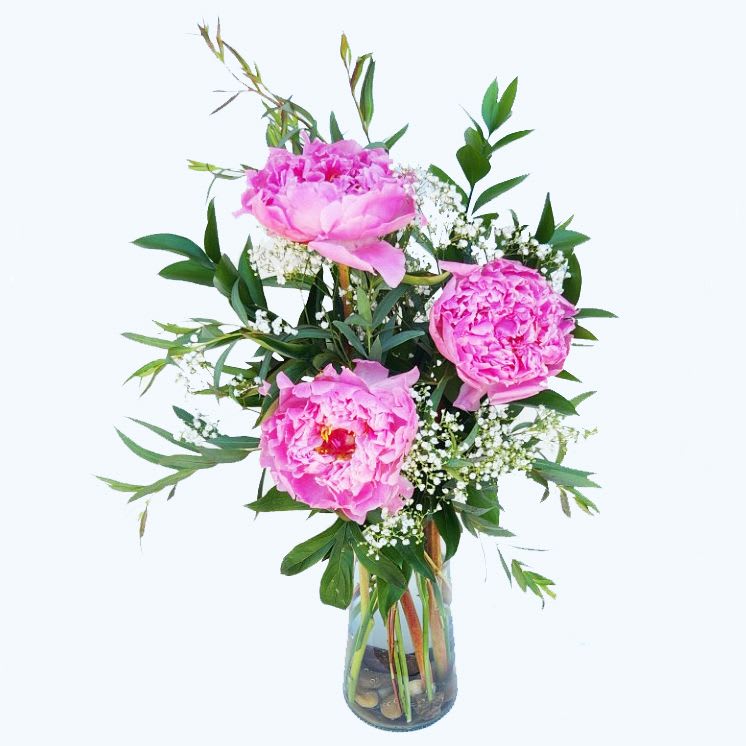 Sarah Bernhardt Peony Vase - Sarah Bernhardt is a premium peony with an exceptionally beautiful bloom. One of the most popular varieties and one that anyone would love to have featured and flowering in a vase in their own home. Peonies are delivered in a vase. professionally hand arranged with baby's breath, eucalyptus and fresh garden greens. Standard size of this floral arrangement is approximately 9in (W) x 18in (H). Deluxe and Premium versions are larger and feature more peonies arranged in a larger glass vase.  Standard - 3 Peonies, Baby's Breath, Eucalyptus and Fresh Garden Greens - Glass Vase  Deluxe - 6 Peonies, Baby's Breath, Eucalyptus and Fresh Garden Greens - Glass Vase  Premium - 12 Peonies, Baby's Breath, Eucalyptus and Fresh Garden Greens - Glass Vase  Care Tips: Place your bouquet in a cool location away from direct sunlight, heating or cooling vents, drafty places, directly under ceiling fans, or on top of televisions or radiators. Check water level daily, keep the vase filled with clean water. Change water every 2-3 days and apply a sharp fresh cut to the stems. This process will ensure extended flower's life span.