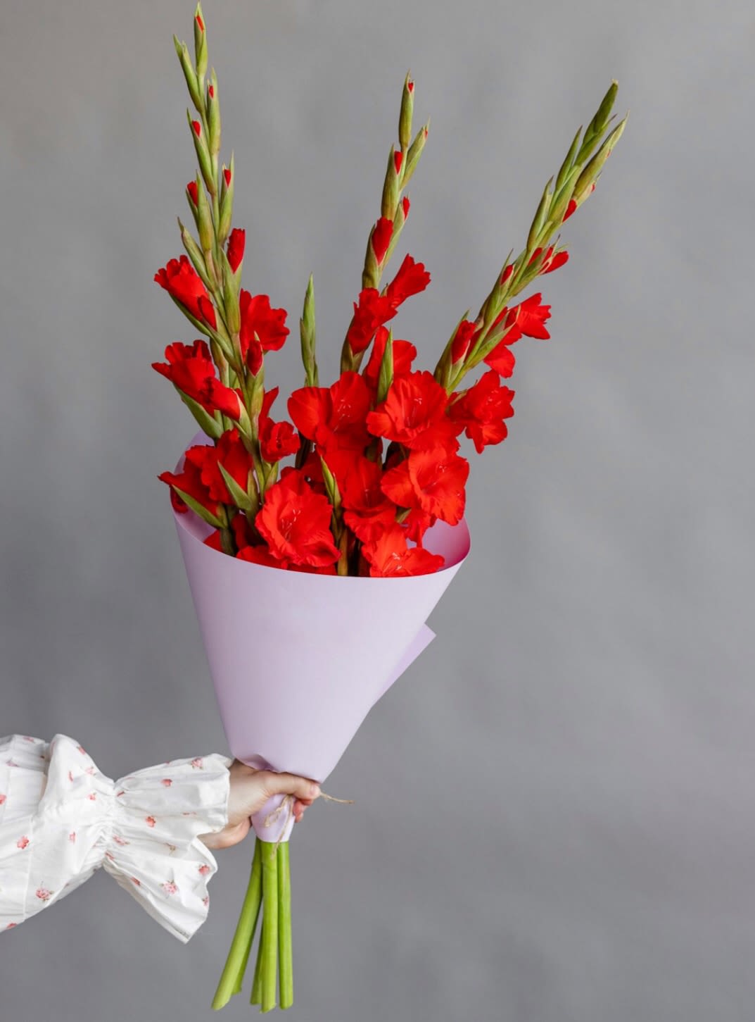 № 496 - Bouquet of Gladiolus 