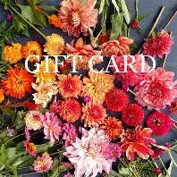 GIFT CARD GIFT CARD - ALL SEASONS GIFT CARD.